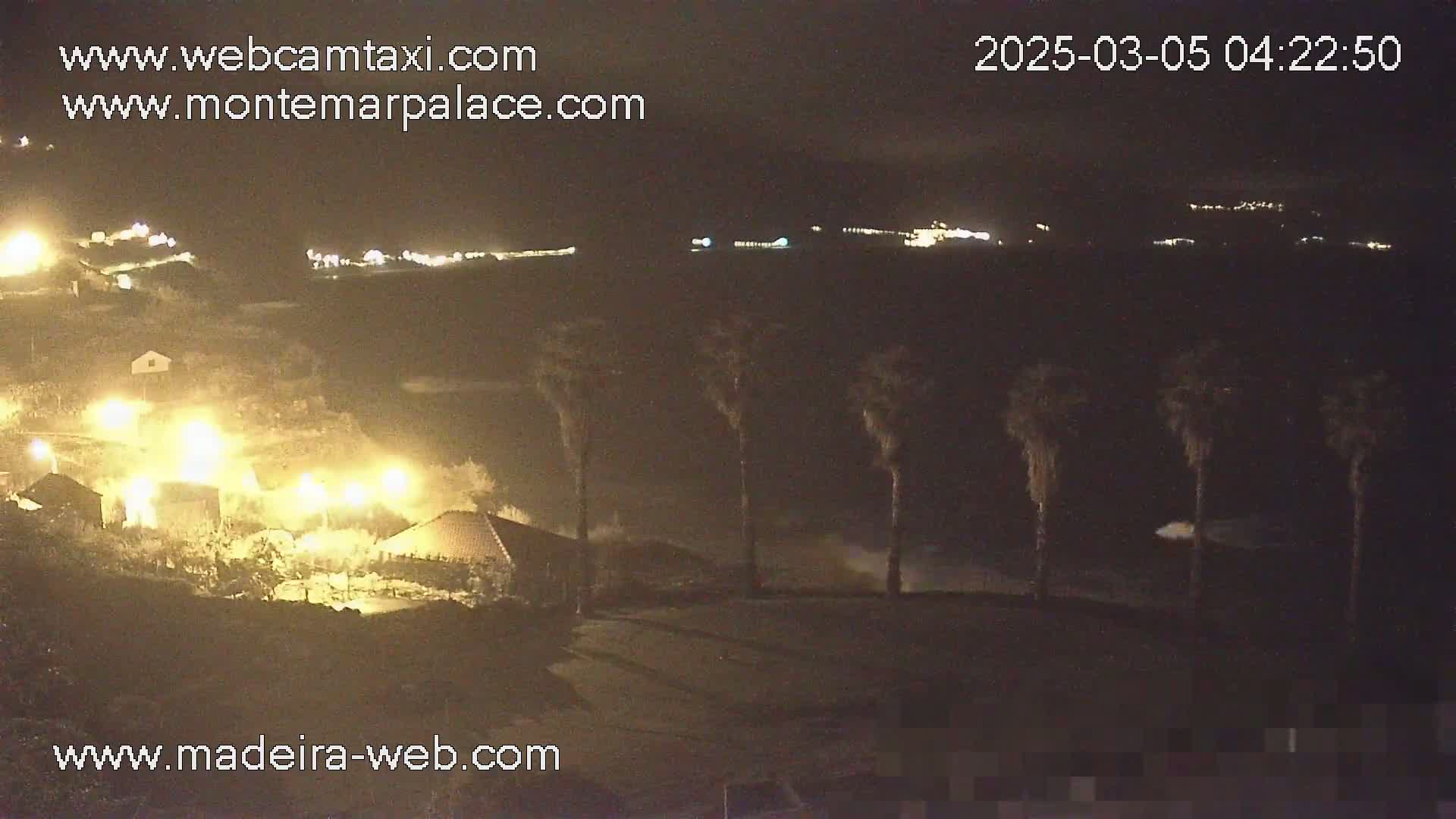 A nighttime coastal scene shows a village with lights, several palm trees, and crashing waves under a dark sky.