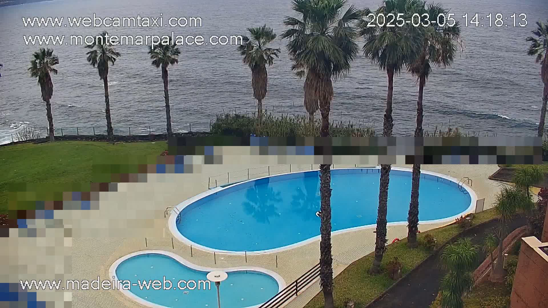 An outdoor kidney-shaped swimming pool and smaller adjacent pool are surrounded by palm trees and green lawns overlooking a calm ocean.