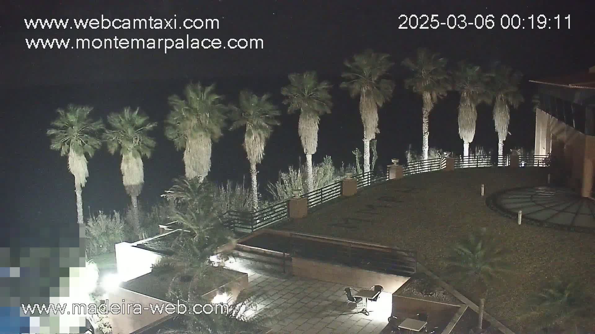 A nighttime view of a patio area with palm trees, a building, and some outdoor furniture under a clear, dark sky.