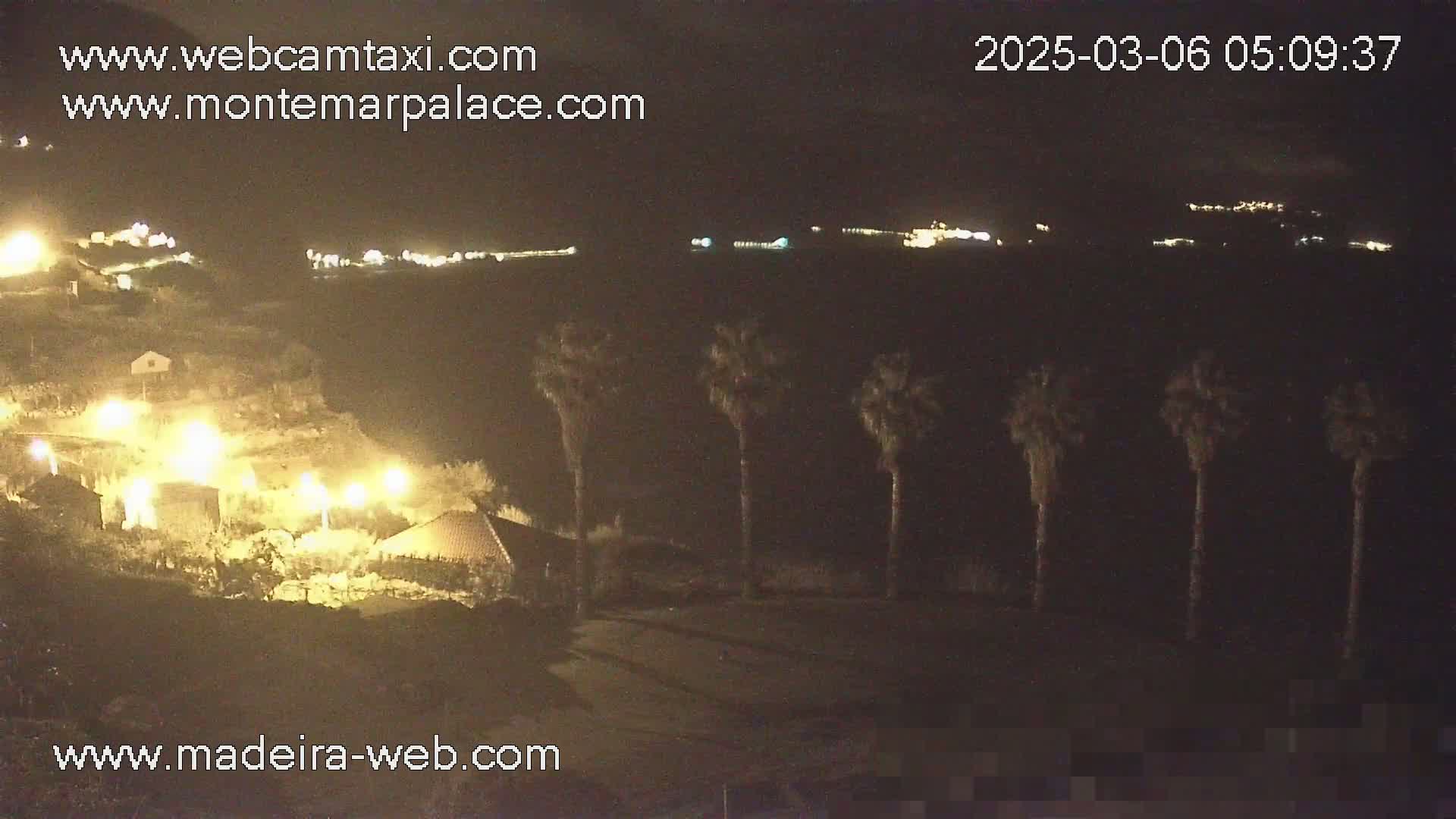 A nighttime view of a coastal town with palm trees in the foreground and illuminated buildings in the background.
