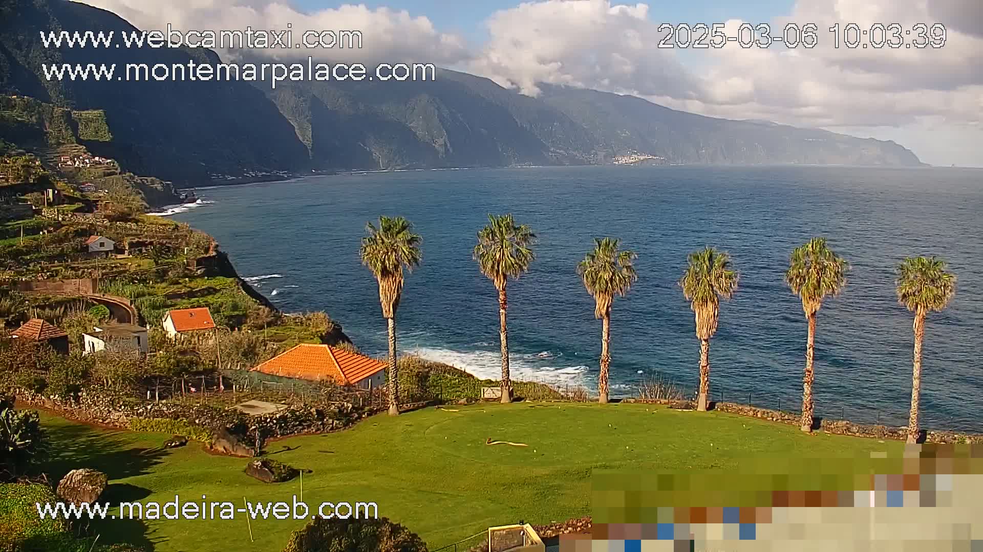 A partly cloudy day reveals a coastal scene with palm trees lining a grassy area overlooking a calm ocean and steep, mountainous terrain.