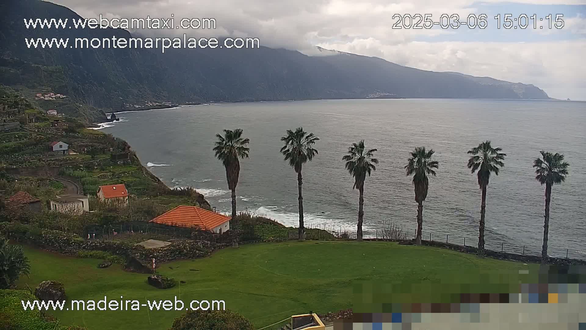 A coastal scene on a cloudy day shows a row of palm trees overlooking a calm ocean, with houses and terraced gardens on a hillside in the foreground and mountains in the distance.