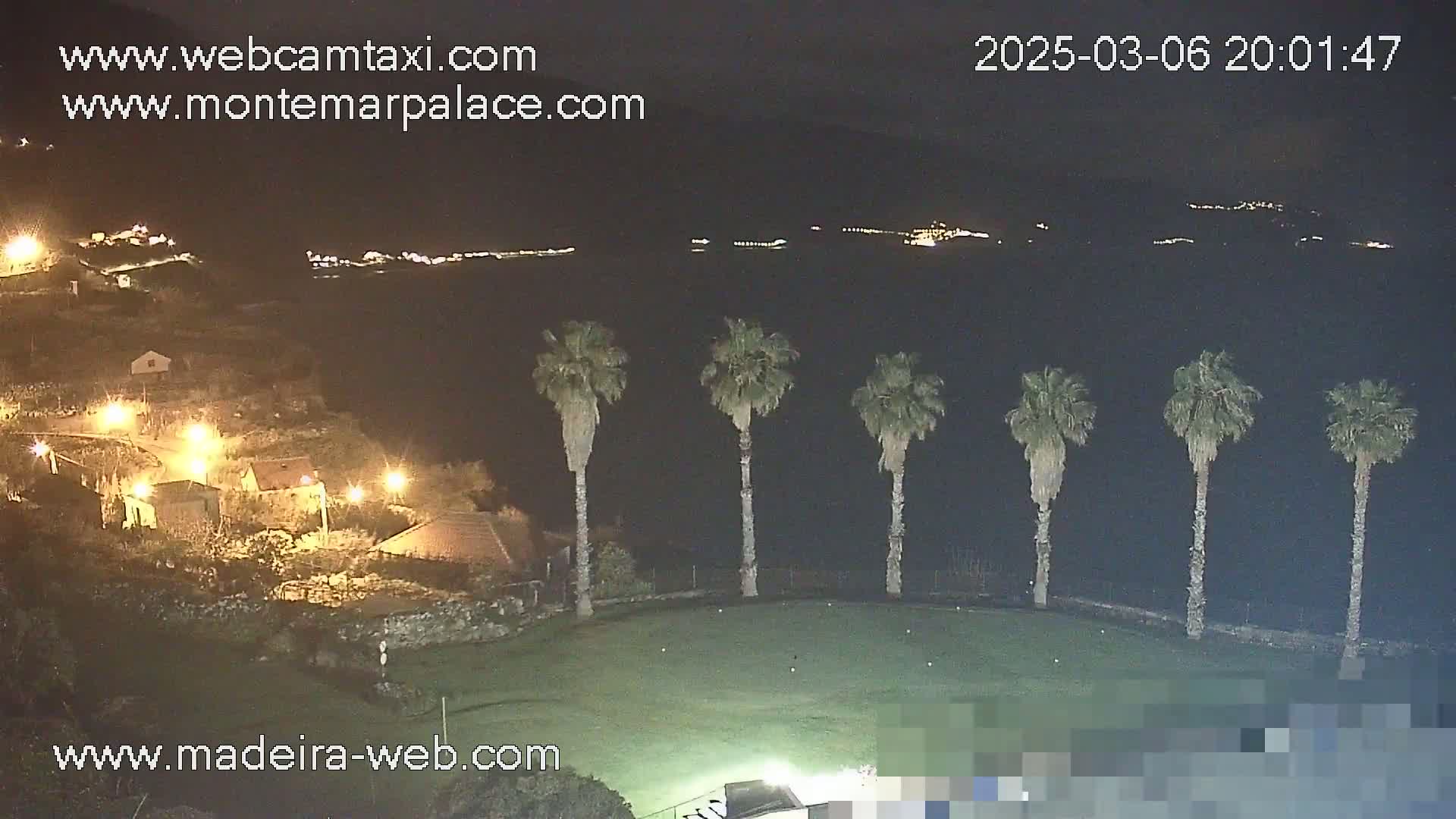 A nighttime view of a grassy area with five palm trees, overlooking a dark body of water with distant lights on the opposite shore, and a small village illuminated below.