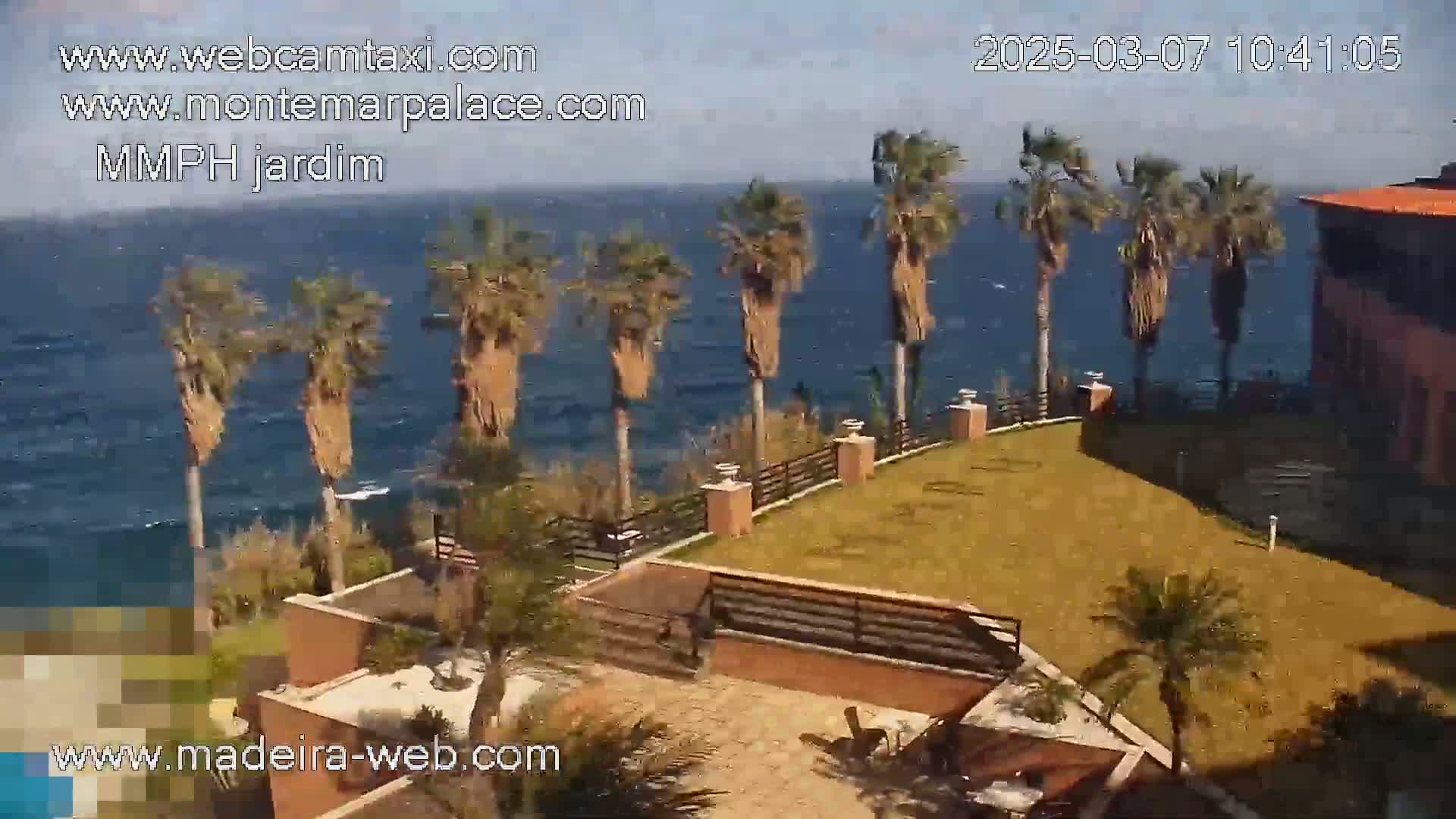 A seaside lawn with palm trees overlooks a windy ocean.