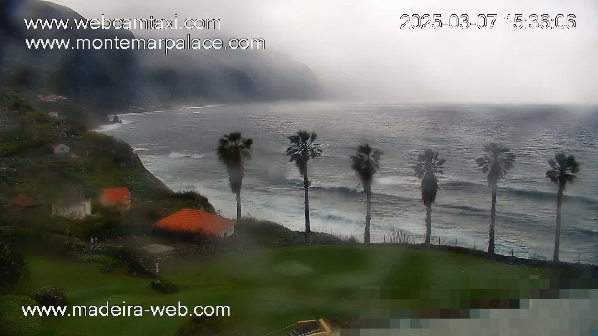 A rain-streaked view shows a rocky coastline with several palm trees overlooking a choppy ocean under an overcast sky.