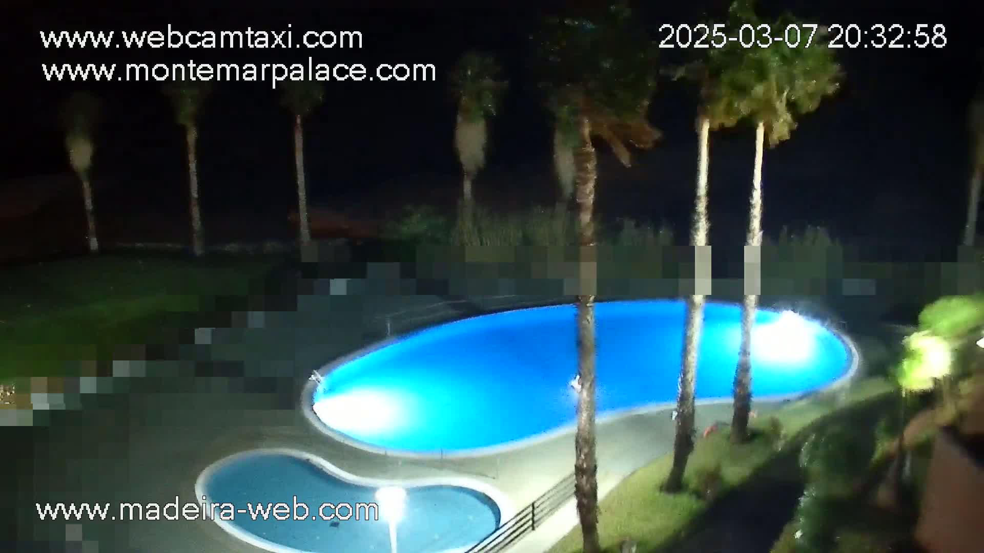 An illuminated kidney-shaped swimming pool and a smaller adjacent pool are surrounded by palm trees at night.