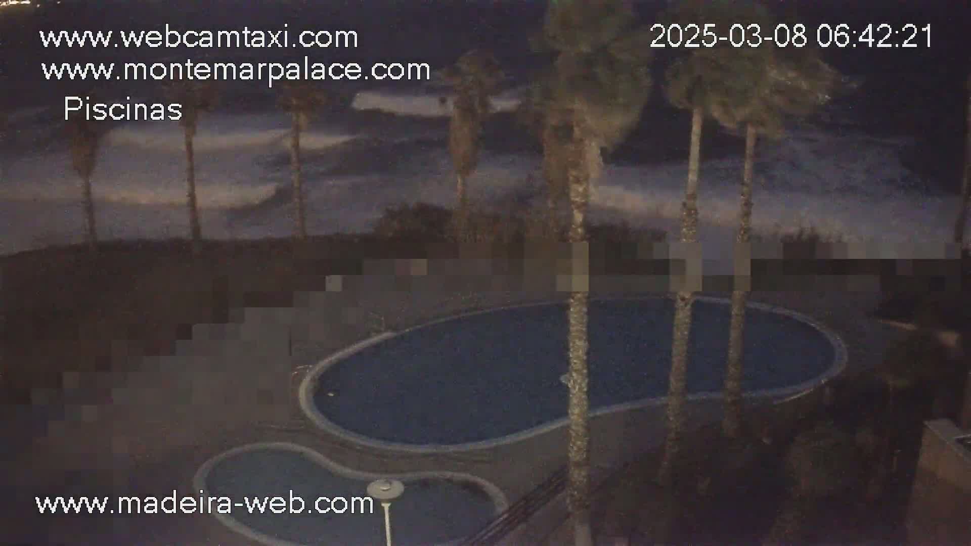 A kidney-shaped swimming pool is situated near several palm trees, with large waves crashing against the shore in the background under a dark, stormy sky.