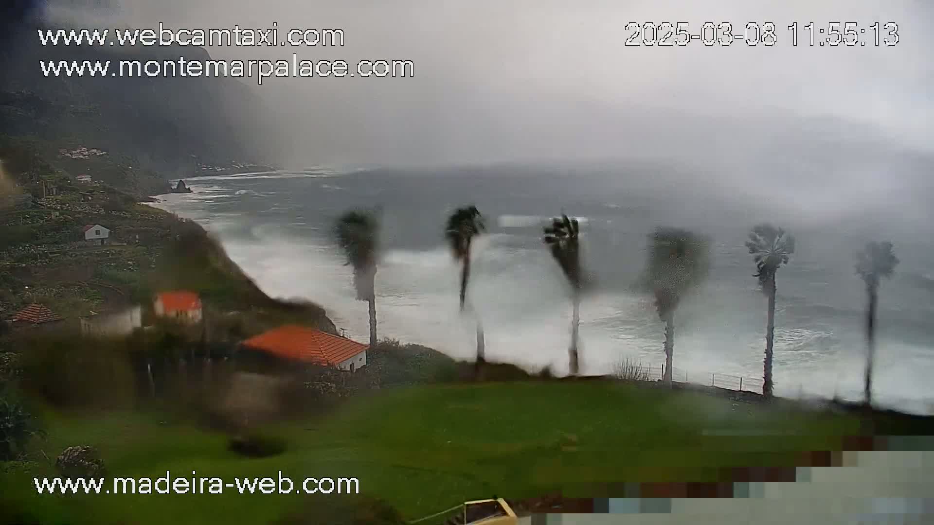 A rainy, overcast scene shows a rocky coastline with crashing waves, several palm trees bending in the wind, and small buildings on a hillside.