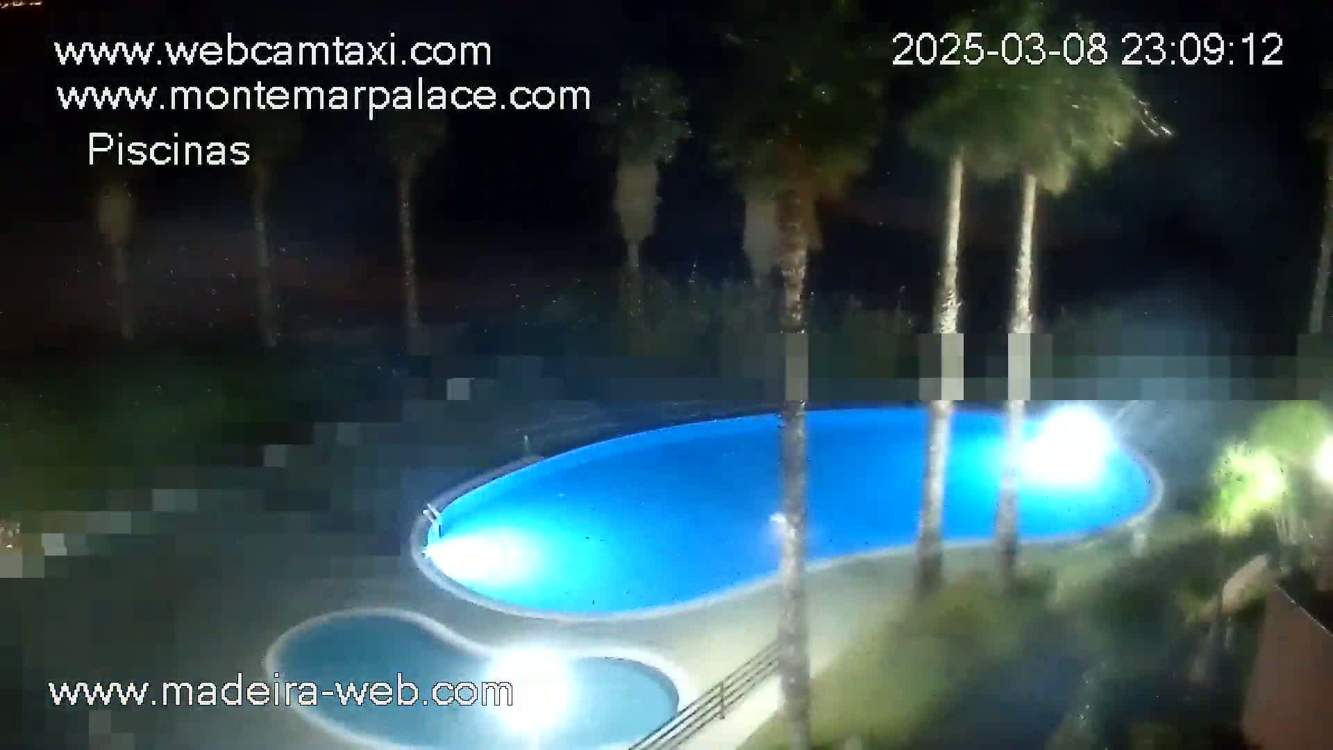 An illuminated, kidney-shaped swimming pool and a smaller adjacent pool are surrounded by palm trees at night.