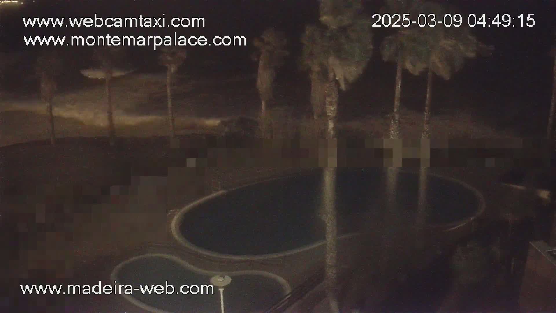 A nighttime, high-angle view shows an oval-shaped swimming pool surrounded by palm trees in a dark, possibly windy setting.