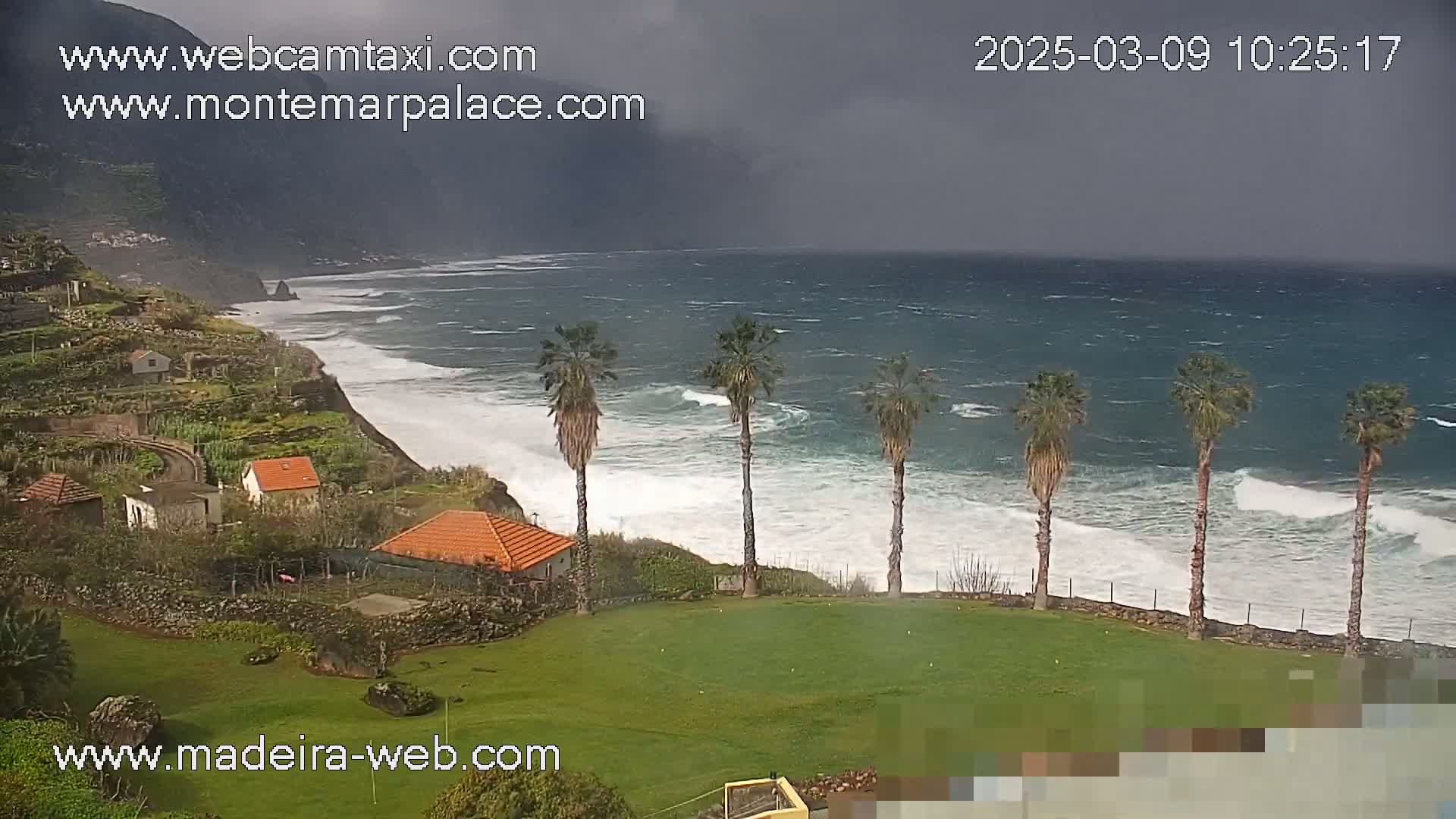 A coastal scene shows a stormy ocean with large waves crashing against a rocky shore, overlooking a grassy area with several palm trees and houses on a hillside.