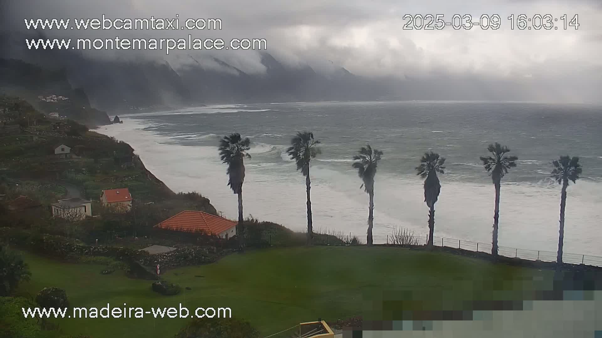 A stormy ocean crashes against a rocky coastline, where several palm trees bend in the wind near a grassy area with small houses.