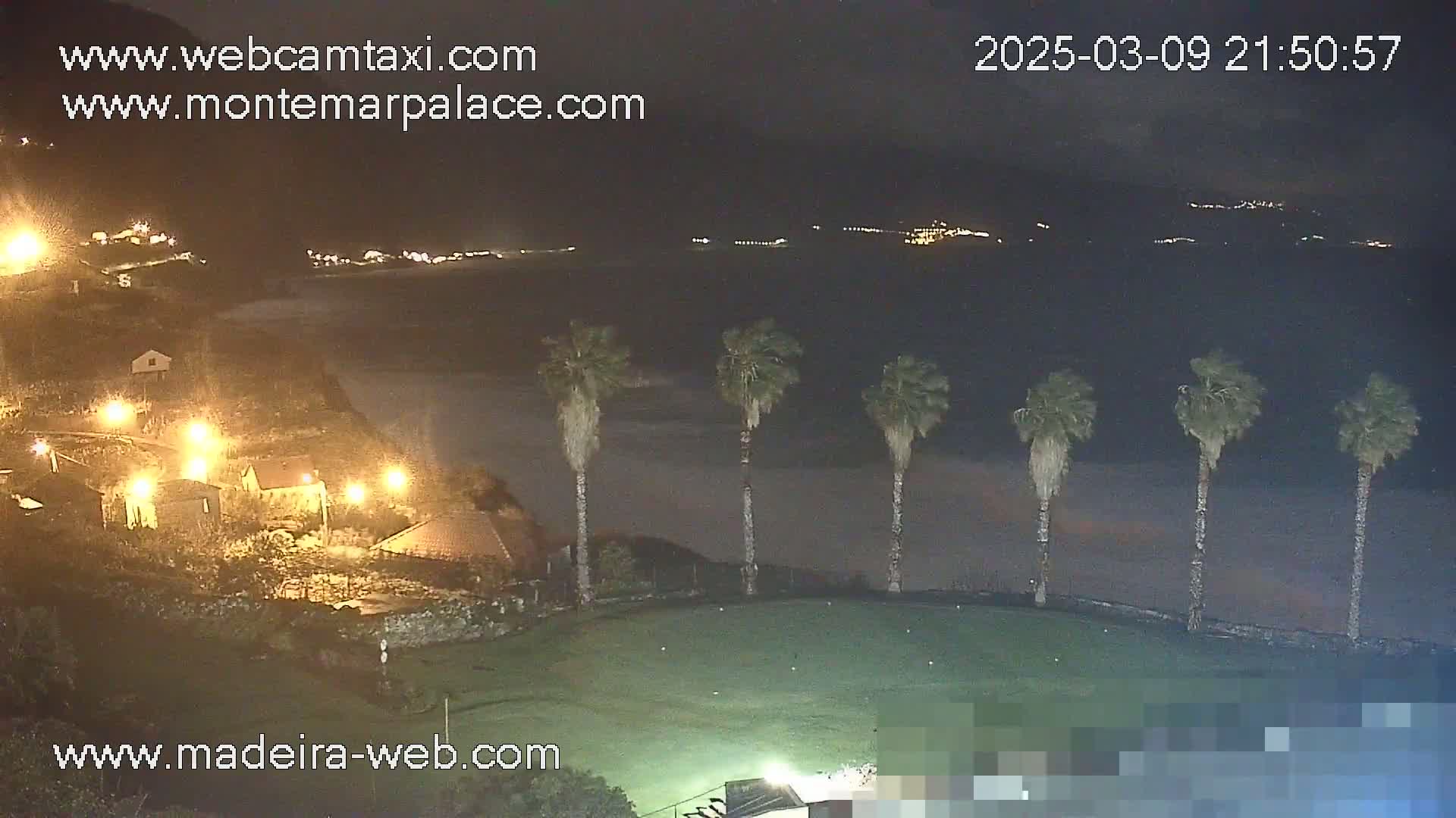 A nighttime view shows a calm body of water with lights on the far shore, several palm trees in the foreground, and illuminated buildings nestled in the hillside.