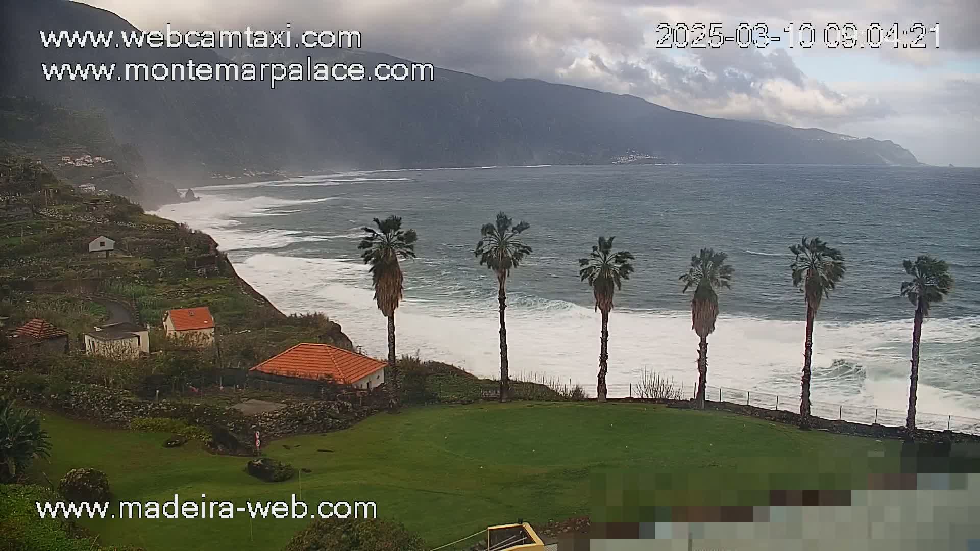 A coastal scene on an overcast day shows several palm trees on a grassy area overlooking a rocky coastline with breaking waves and a mountainous backdrop.