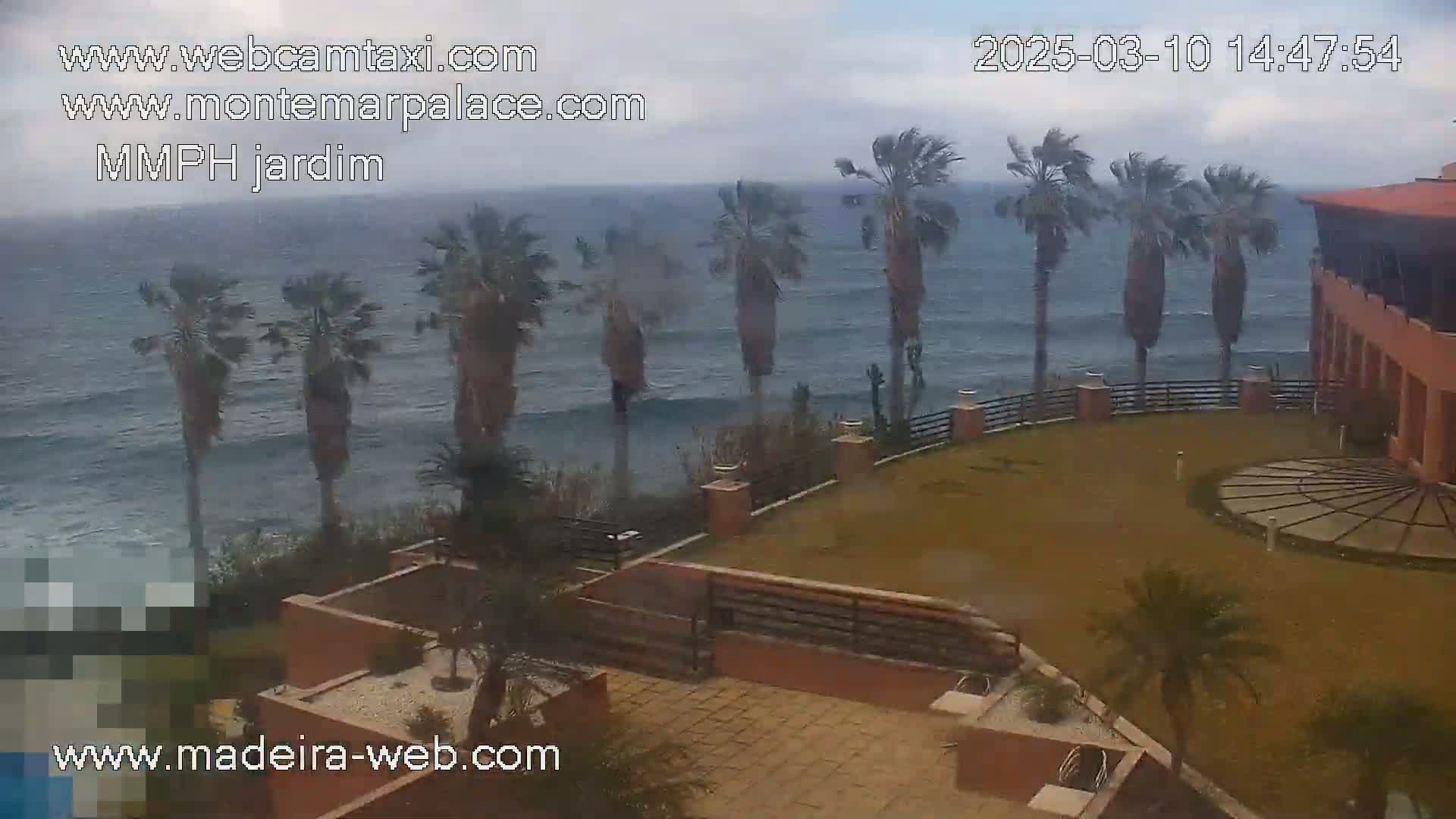 A windy day shows palm trees bending over a rocky ocean shore next to a building with a courtyard.
