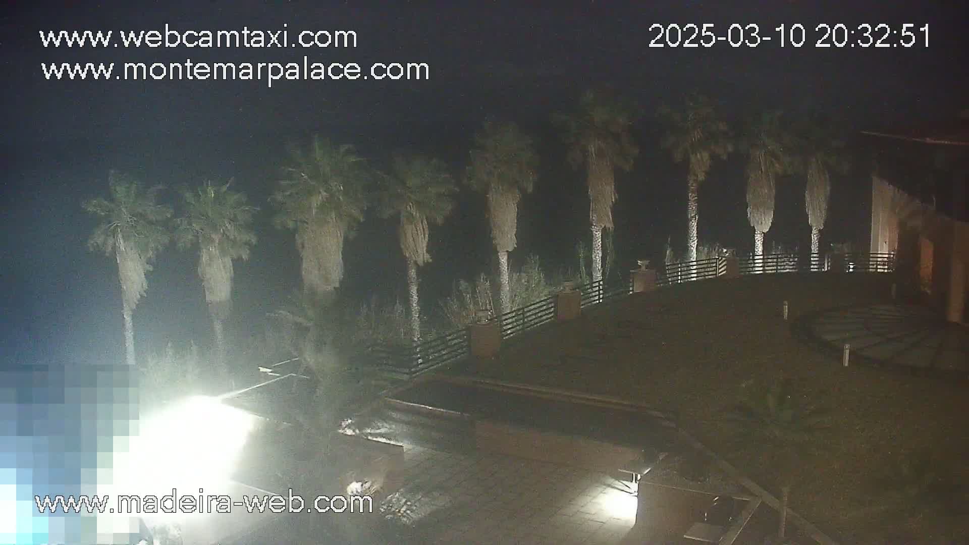 A nighttime view of a building with a patio area surrounded by palm trees under a dark sky.