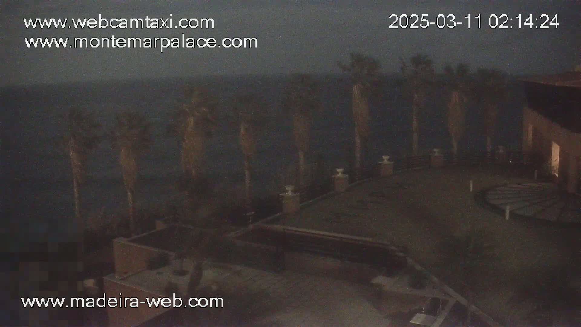 A nighttime, dark outdoor scene shows palm trees silhouetted against a dark ocean, overlooking a patio area with building structures.