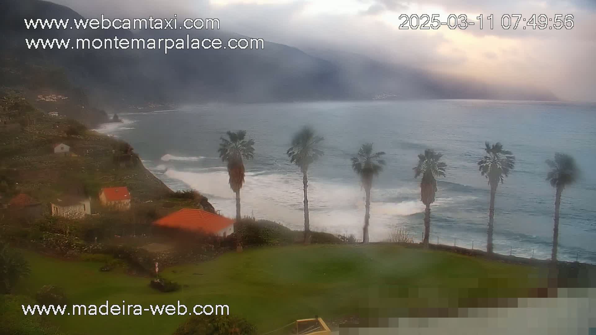 A rain-swept coastal scene shows a rocky shoreline with a few houses, several palm trees, and a gray ocean with waves crashing against the shore under an overcast sky.