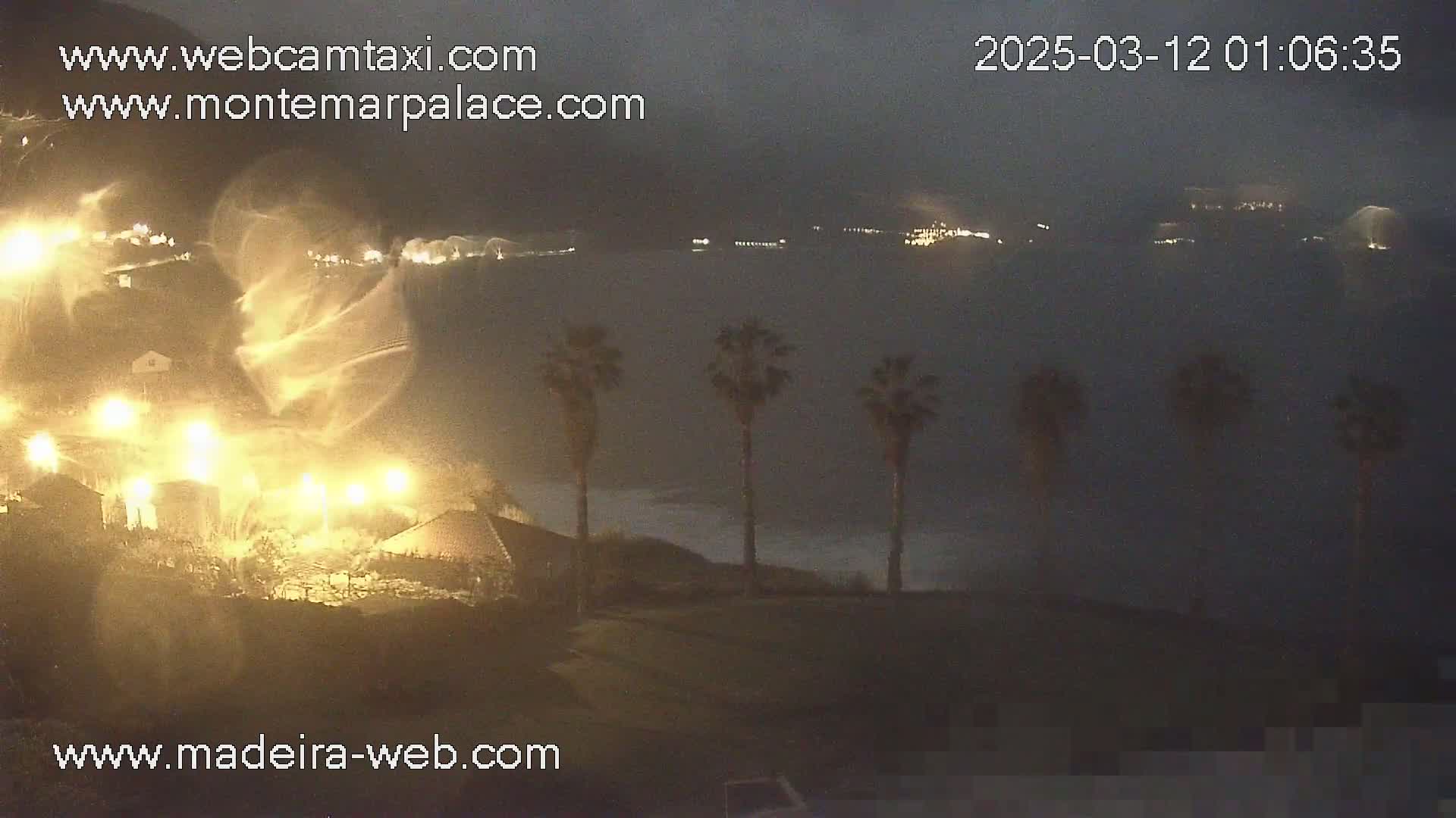 A nighttime coastal scene shows illuminated buildings and palm trees in windy conditions, with dimly lit buildings and waves visible across the water.