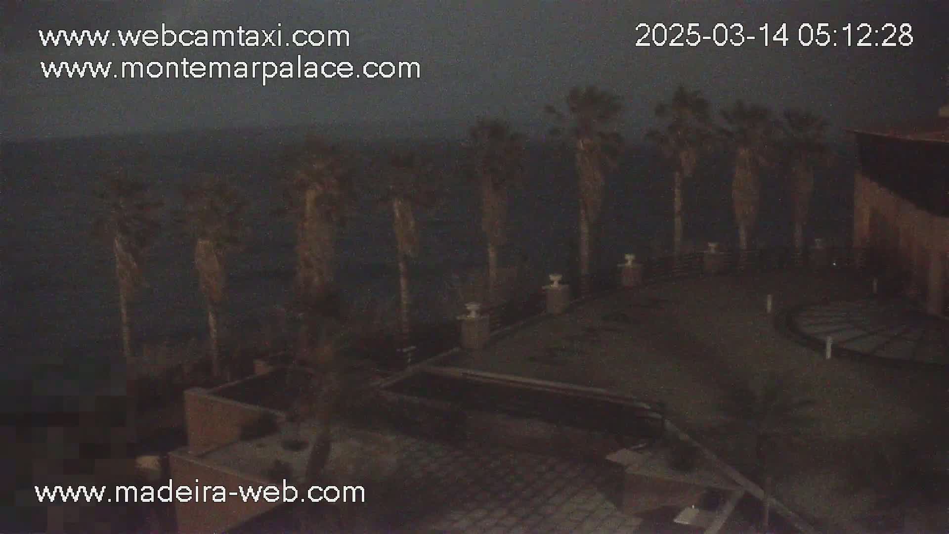 A nighttime, dimly lit outdoor scene shows palm trees swaying in the wind near a body of water, with a building partially visible in the upper right corner.
