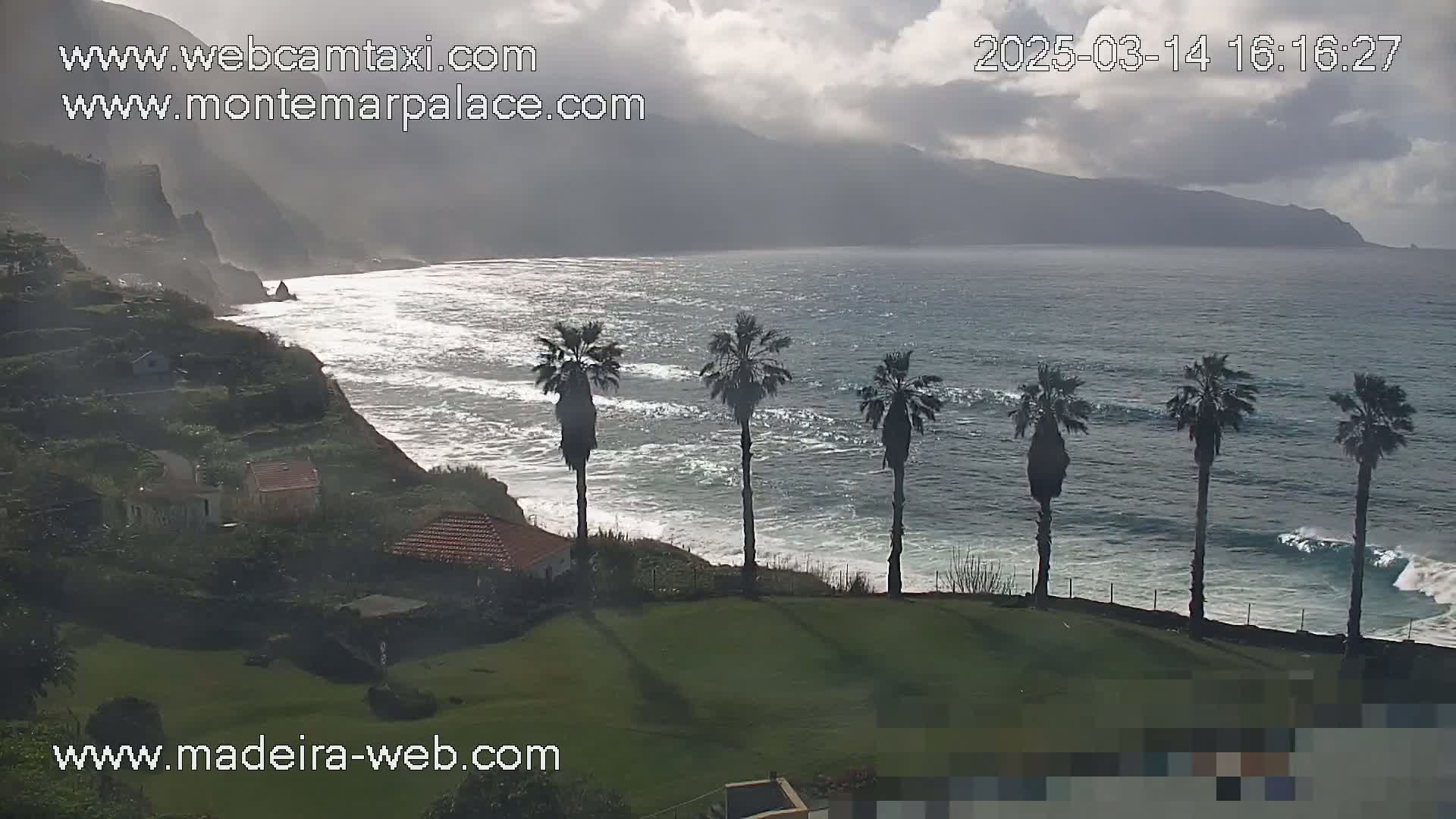 A rocky coastline with a calm sea and several palm trees on a grassy area overlooking the ocean under a cloudy sky.