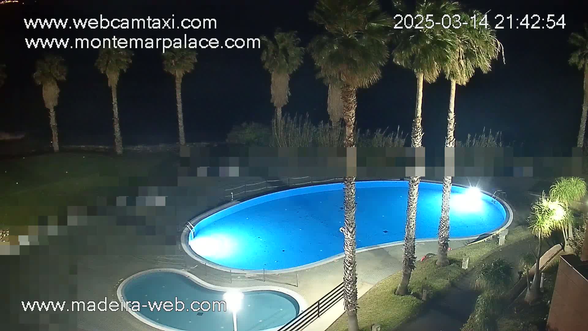 An illuminated kidney-shaped swimming pool and a smaller adjacent pool are surrounded by palm trees at night.