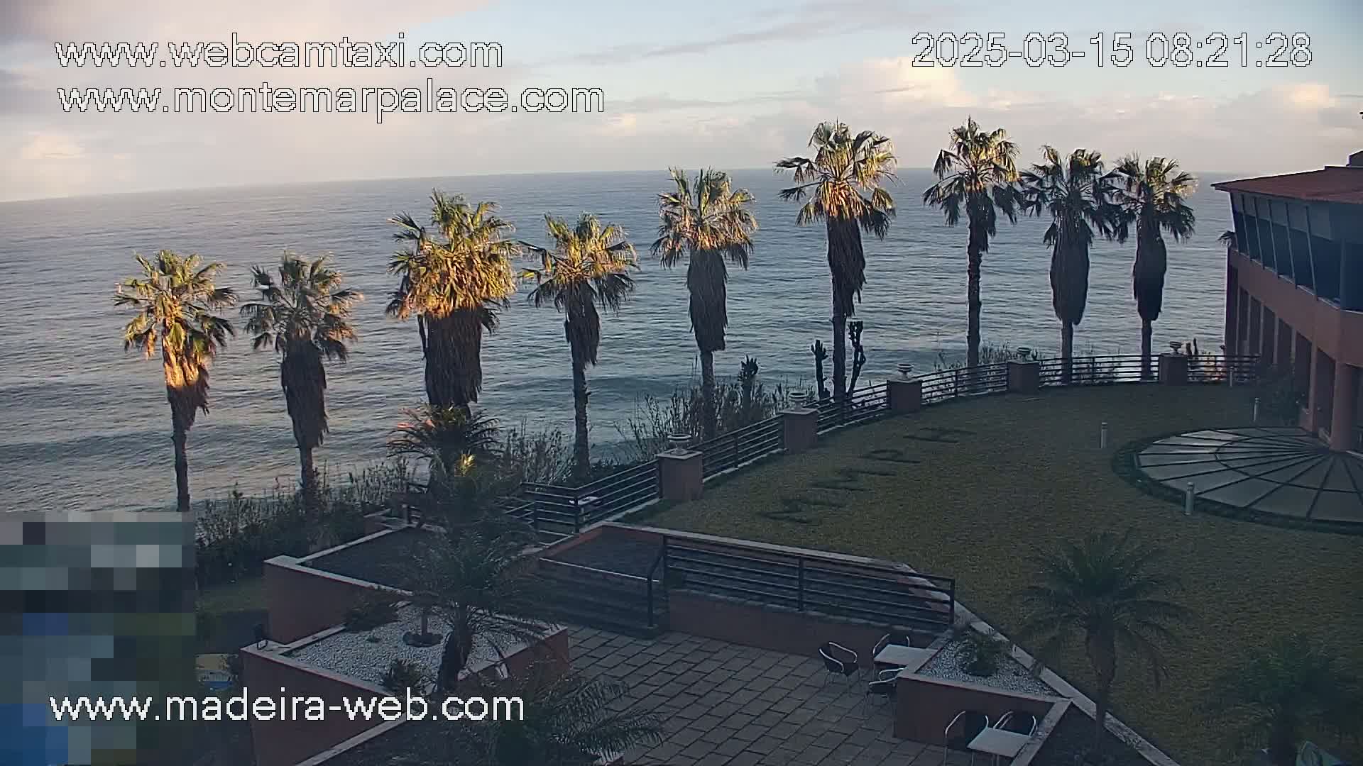 Palm trees line a grassy area overlooking a calm ocean under a partly cloudy sky.