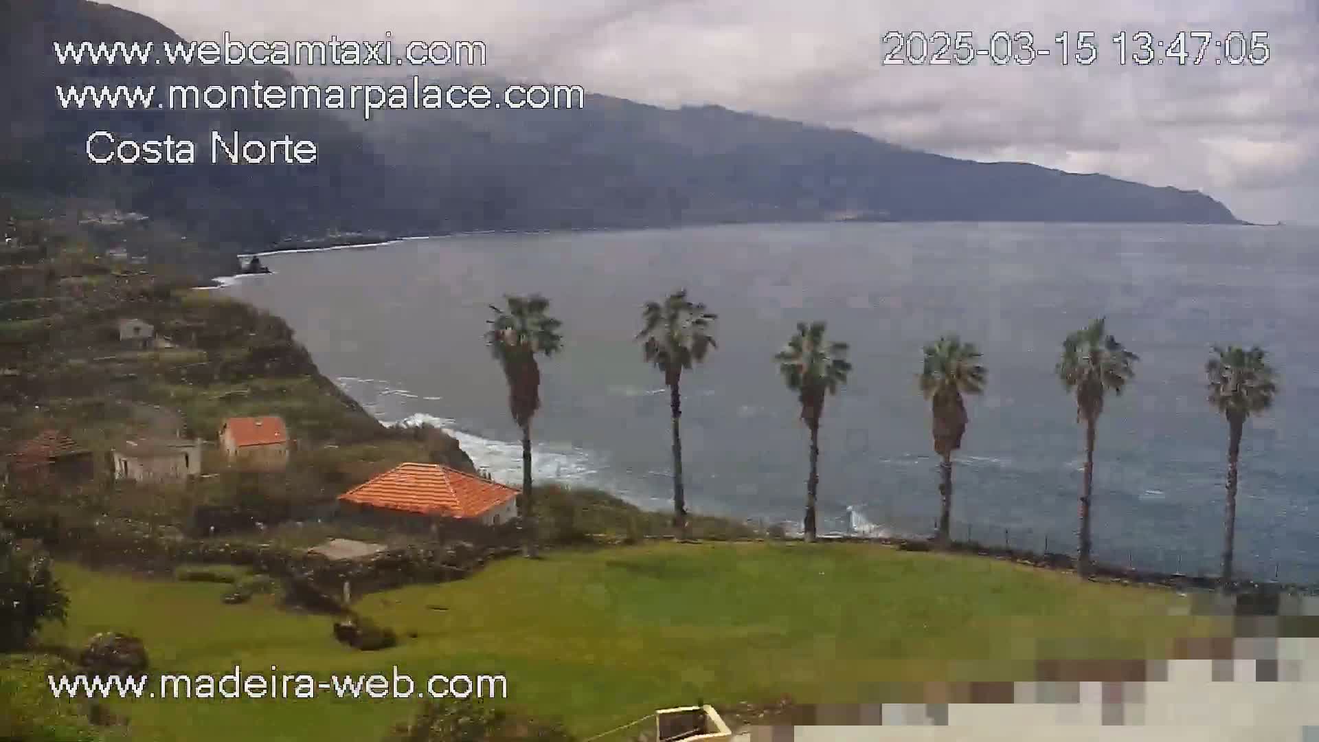 A coastal scene on a cloudy day shows a green lawn with several palm trees overlooking a dark-blue ocean and distant mountains.