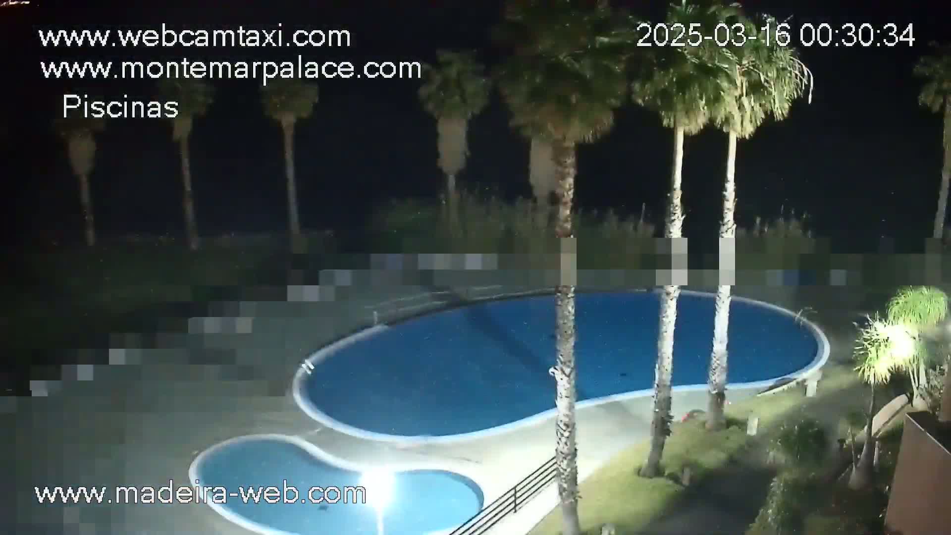 A kidney-shaped swimming pool and a smaller adjacent pool are illuminated at night, surrounded by palm trees under a clear, dark sky.