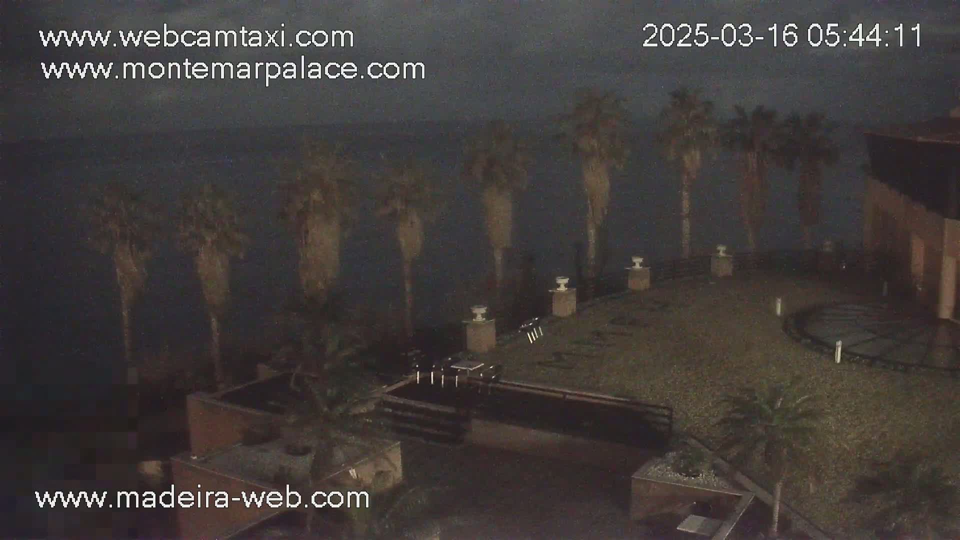A nighttime, overcast view of a patio area with palm trees, a dark pool, and a building overlooking a dark body of water.