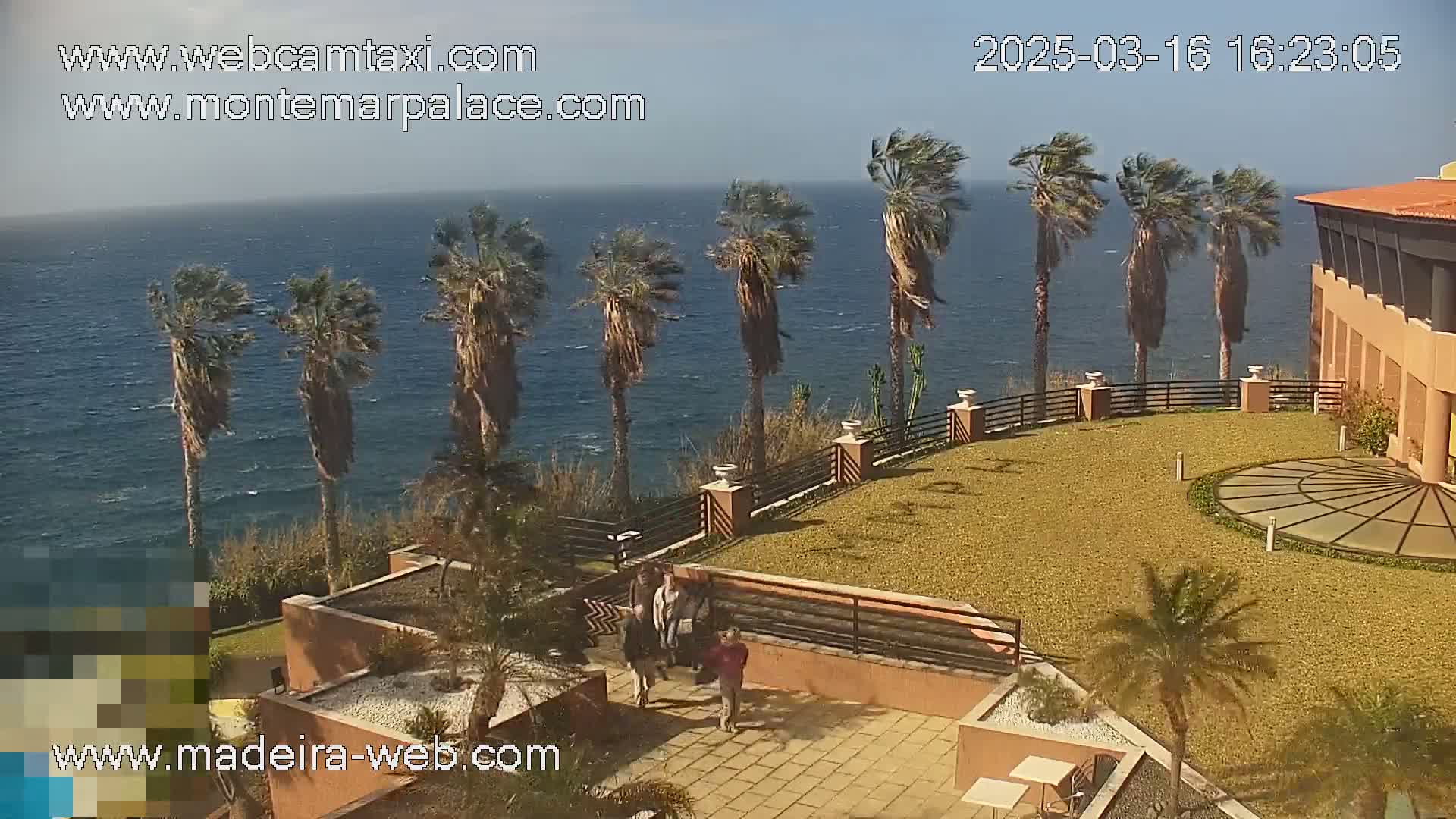 A windy seaside resort with palm trees overlooks a blue ocean, and several people walk in a courtyard.