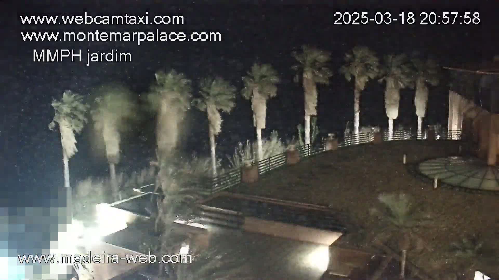 A nighttime view of palm trees bending in a strong wind above a rooftop patio.