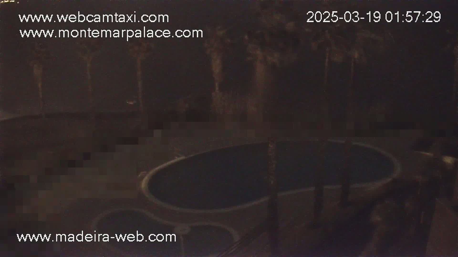 A nighttime, overhead view shows a dark, oval-shaped pool with several blurry, light-colored fountains in the background.