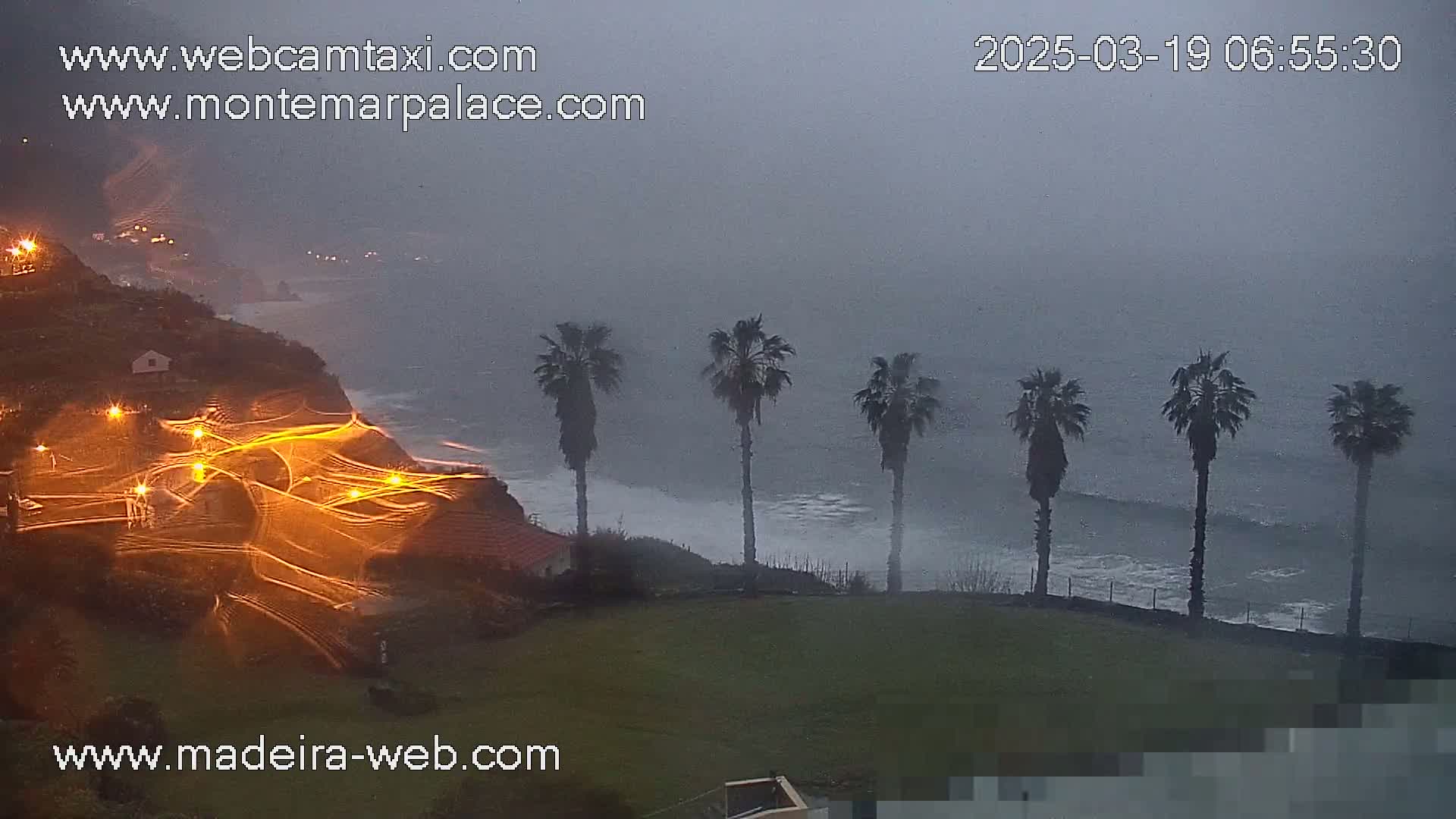 A foggy, overcast coastal scene shows a grassy area with several palm trees overlooking a dark ocean with small waves.