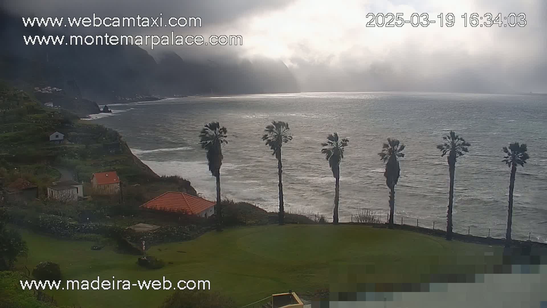 A cloudy, windy day overlooks a rocky coastline with a calm ocean, several palm trees, and small houses nestled into a hillside.