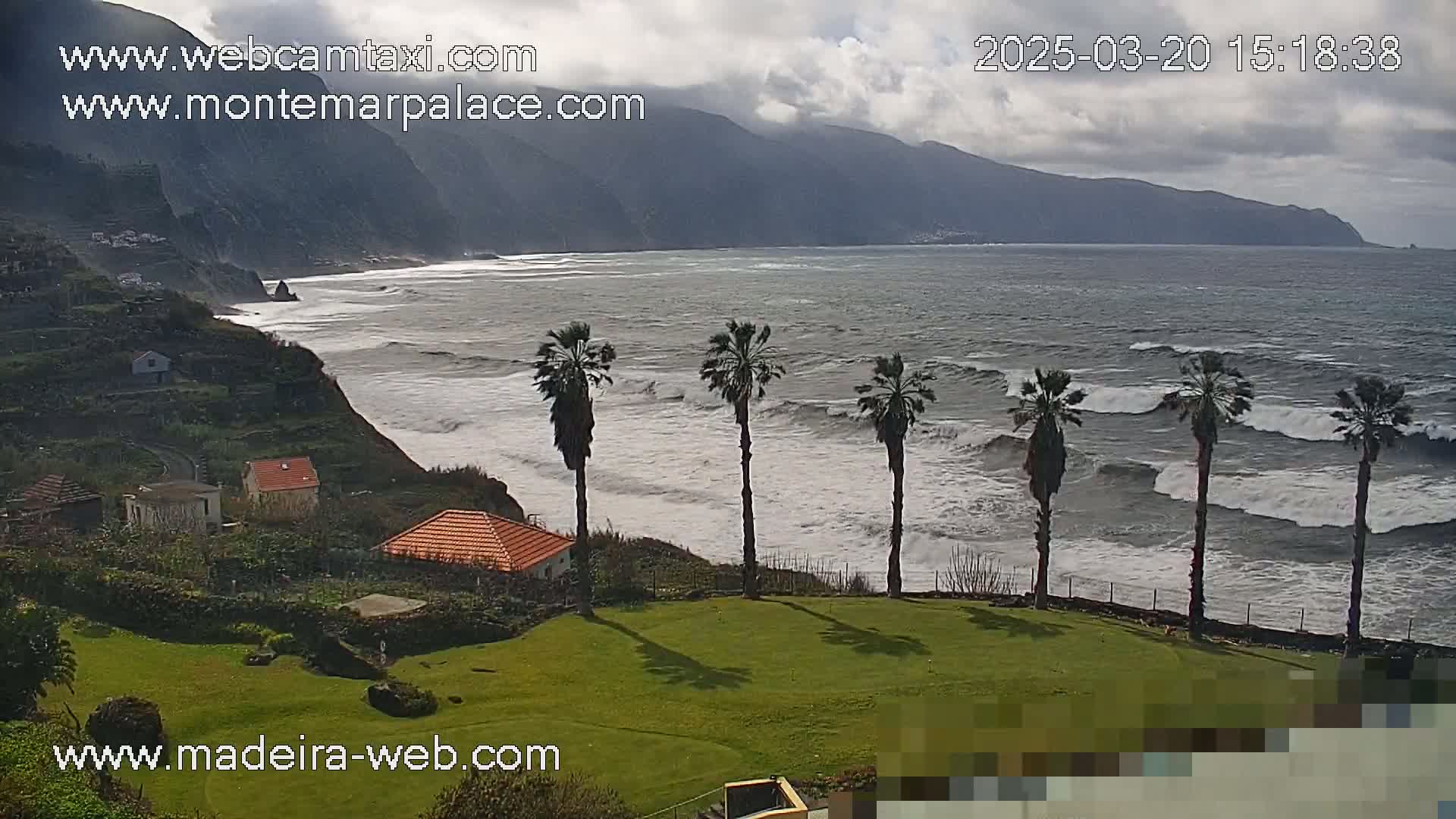A grassy area with several palm trees overlooks a rocky coastline with crashing waves under a cloudy sky.