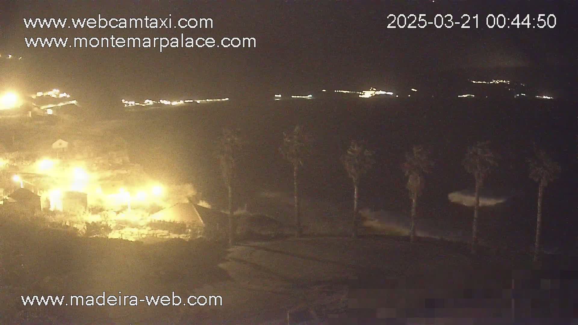 A nighttime coastal scene shows a brightly lit building near a dark ocean with waves, and several palm trees silhouetted against the water.