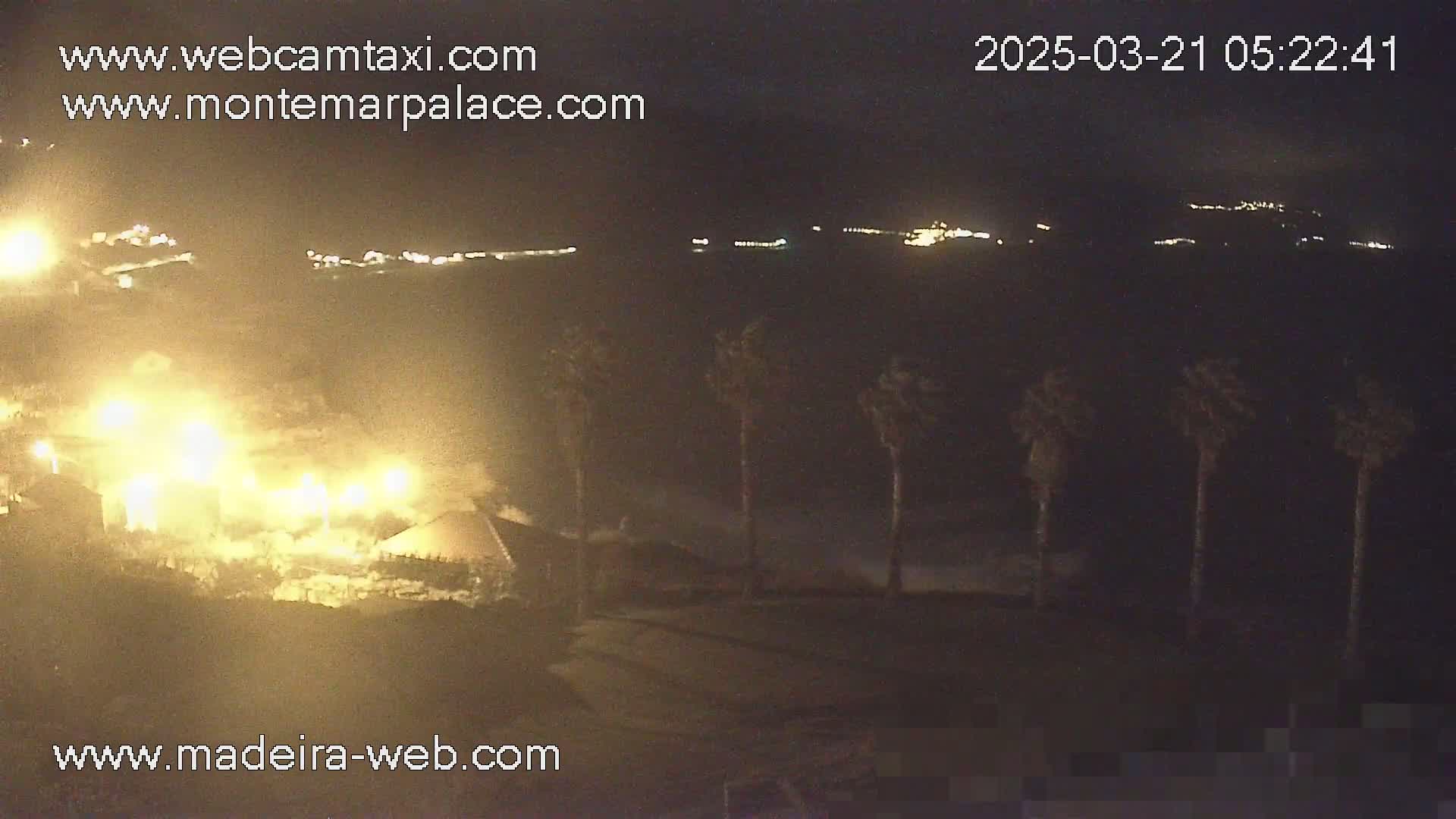 A nighttime coastal scene shows brightly lit buildings near a dark ocean with waves, and several palm trees in the foreground under a dark sky.