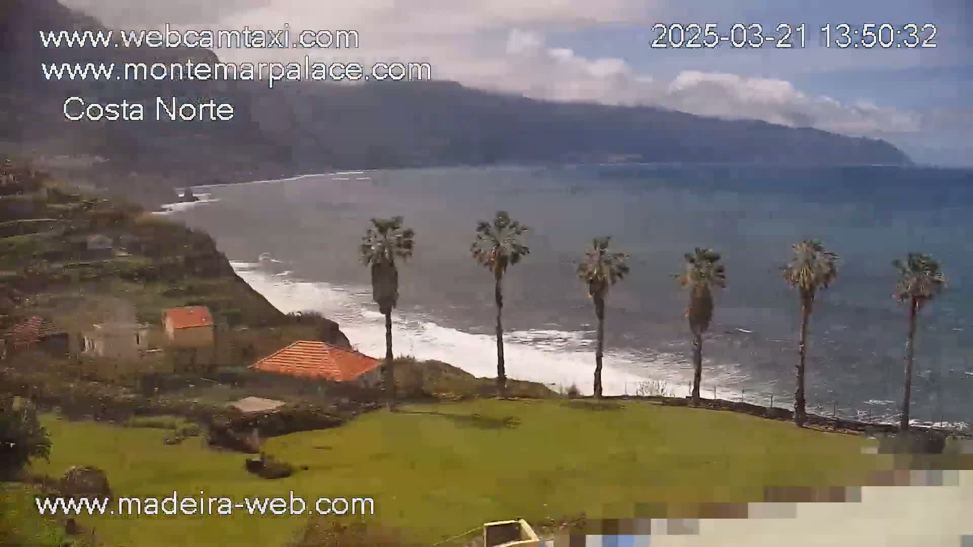 A partly cloudy day reveals a coastal scene with palm trees on a grassy area overlooking a rocky shoreline and a wavy ocean.