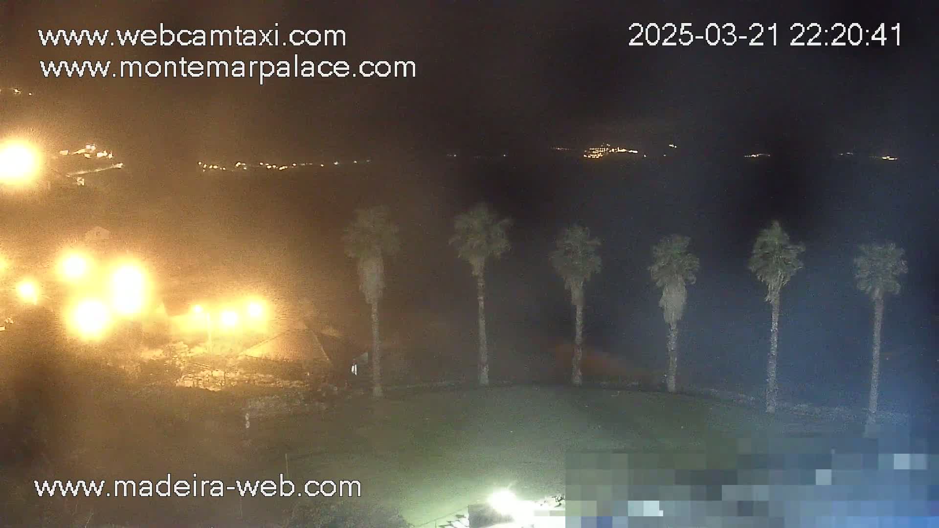 A nighttime view of a body of water with distant lights, several palm trees in the foreground, and brightly lit buildings closer to the camera.