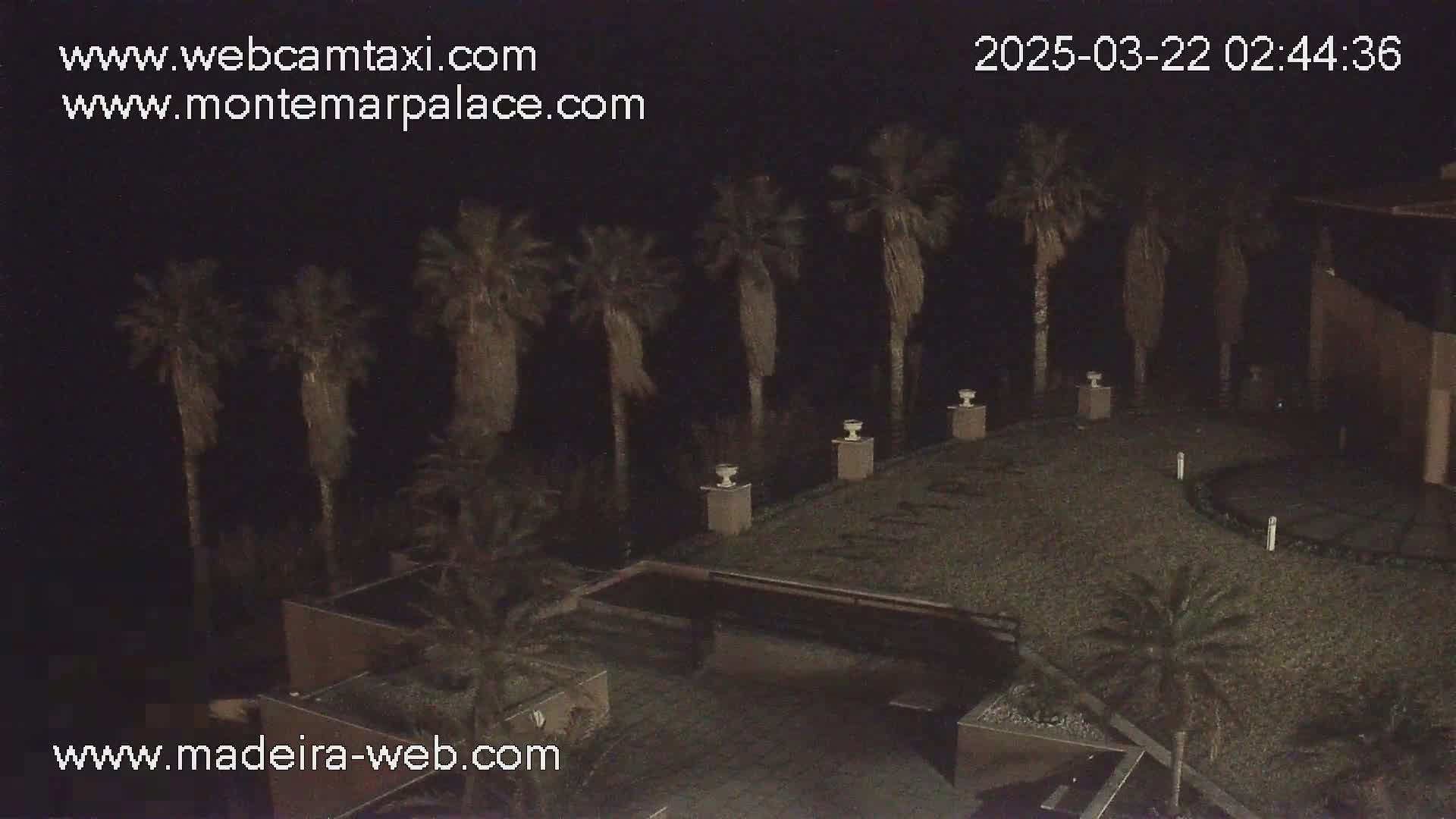 A nighttime outdoor scene shows a paved area with palm trees, low-level lighting, and a building in the background.