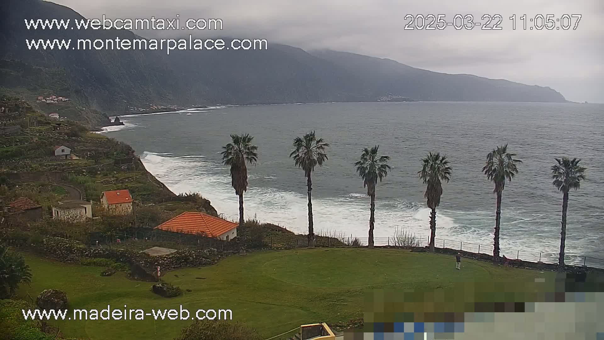 A coastal scene on an overcast day shows a rocky shoreline with houses and palm trees overlooking a grey ocean with small waves.
