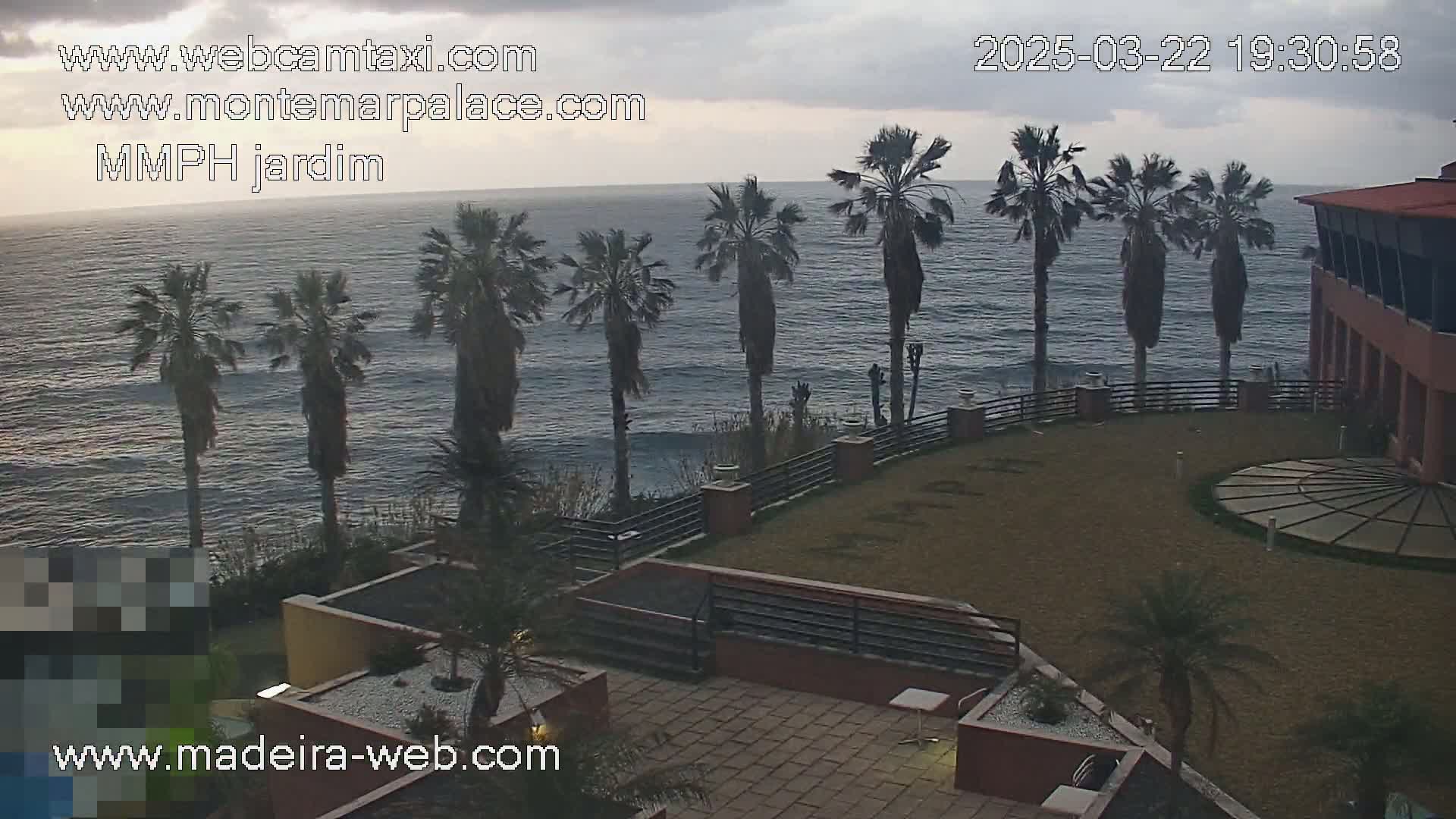 An ocean view from a resort, showing palm trees lining a grassy area overlooking a calm sea under an overcast sky.
