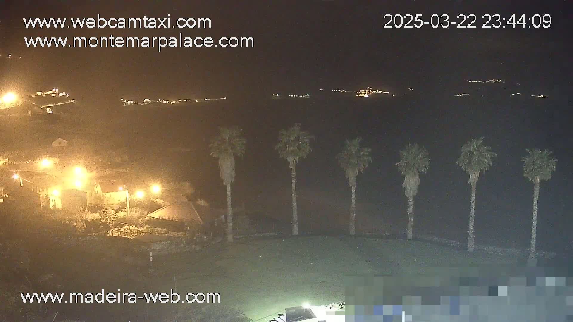 A nighttime view of a coastal area shows a row of palm trees in the foreground, illuminated buildings in the mid-ground, and a dark body of water with distant lights across it.