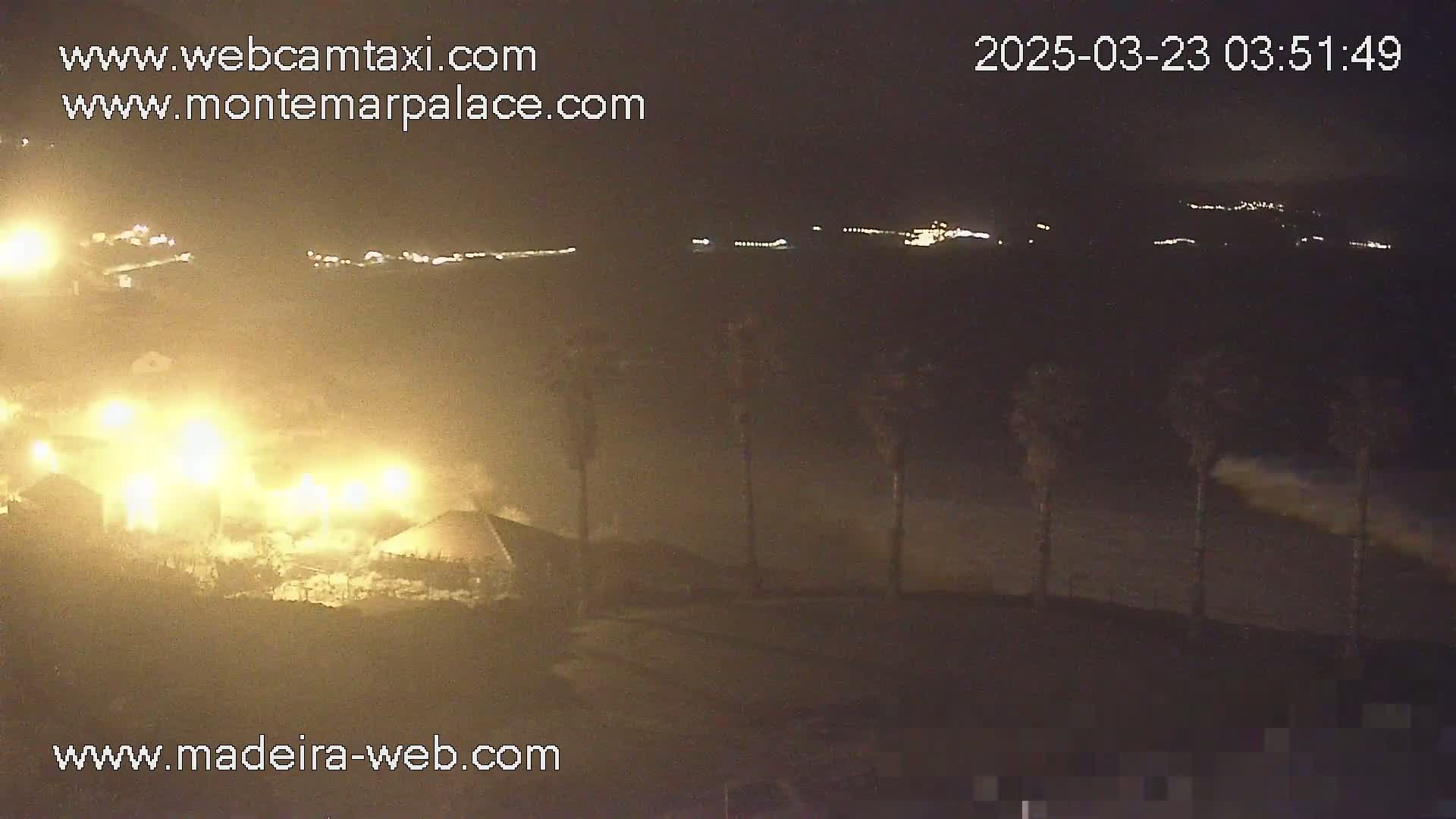 A nighttime coastal scene shows brightly lit buildings near palm trees, with a dark ocean and dimly lit hills in the distance.