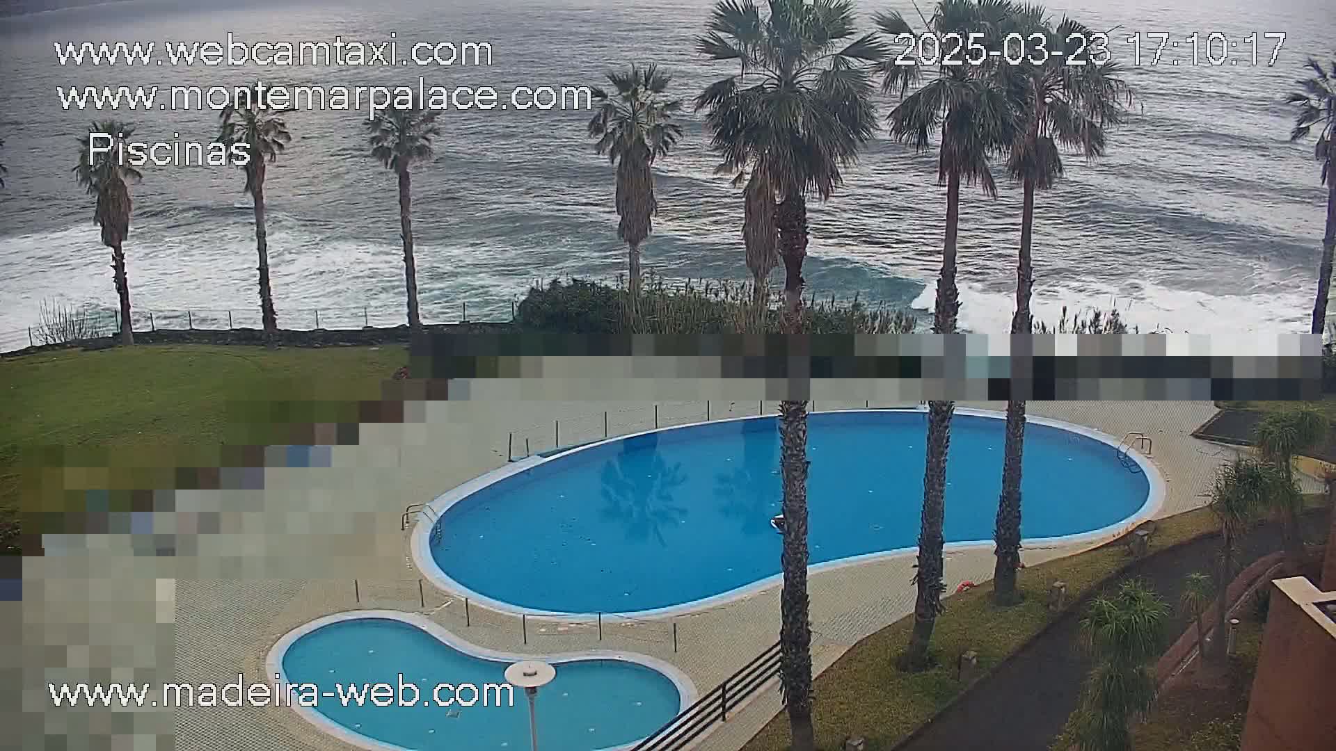 An outdoor kidney-shaped swimming pool and a smaller adjacent pool are situated on a grassy area next to a rocky coastline with palm trees under an overcast sky.