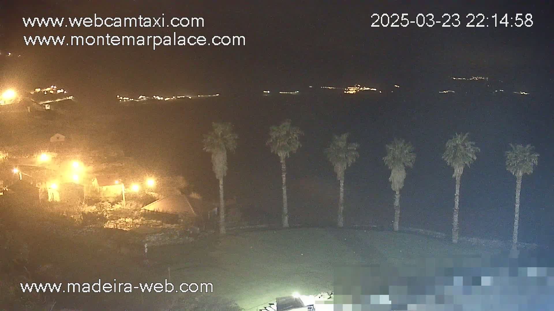 A nighttime view of a coastal area shows palm trees silhouetted against a dark body of water with distant lights on the opposite shore.