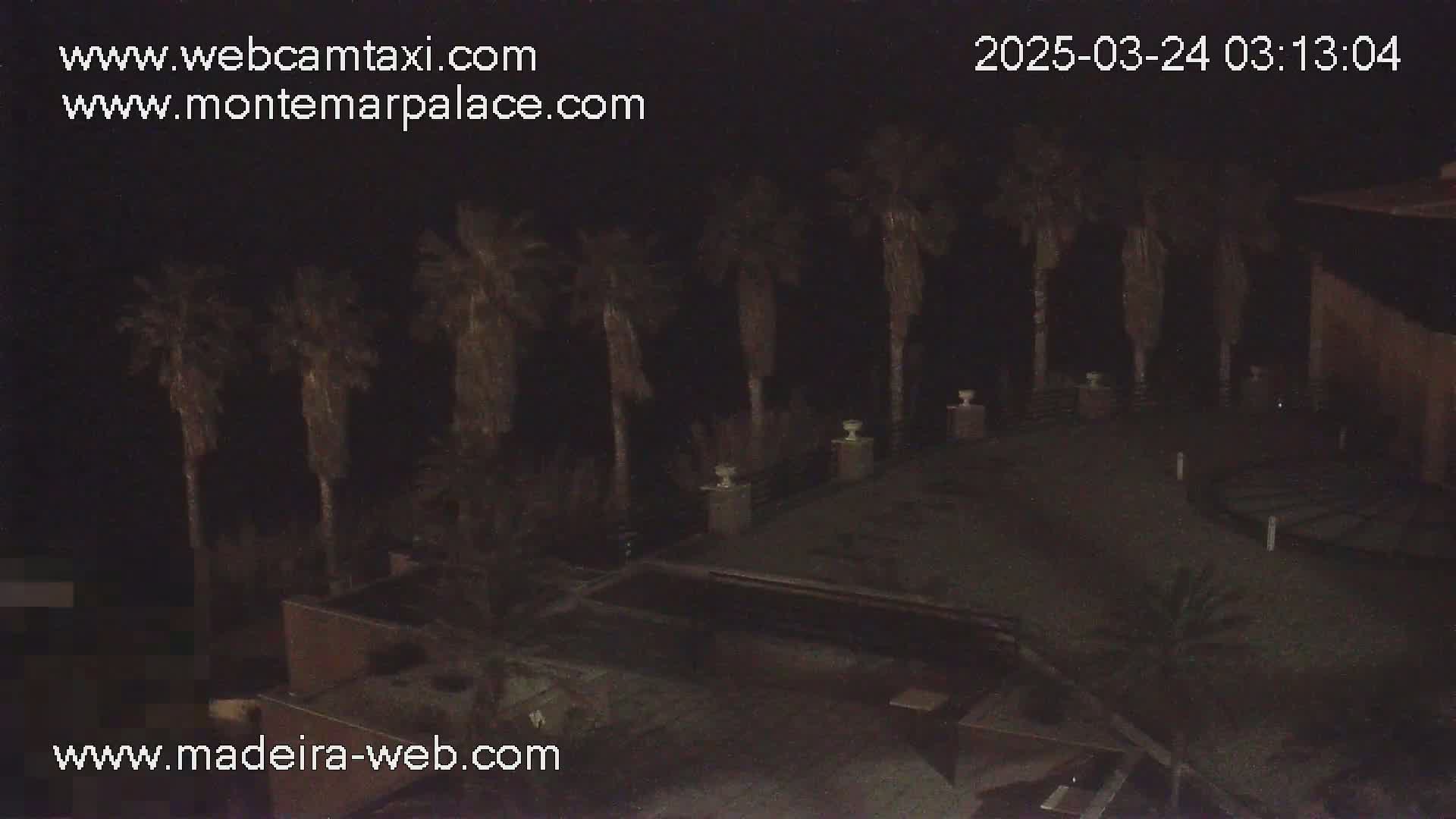 A nighttime outdoor scene shows a dark patio area with several palm trees, some low-level lighting, and a building in the background.