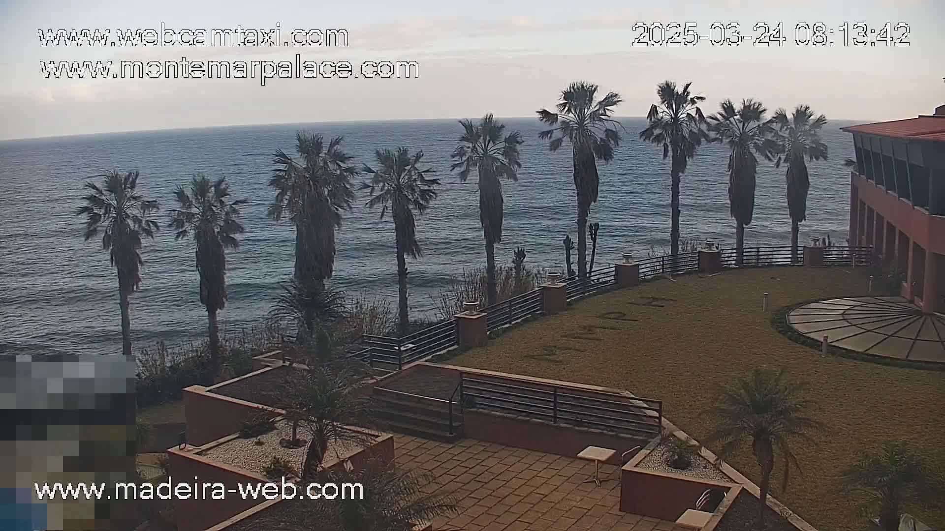 A courtyard with palm trees overlooks a calm ocean under a cloudy sky.