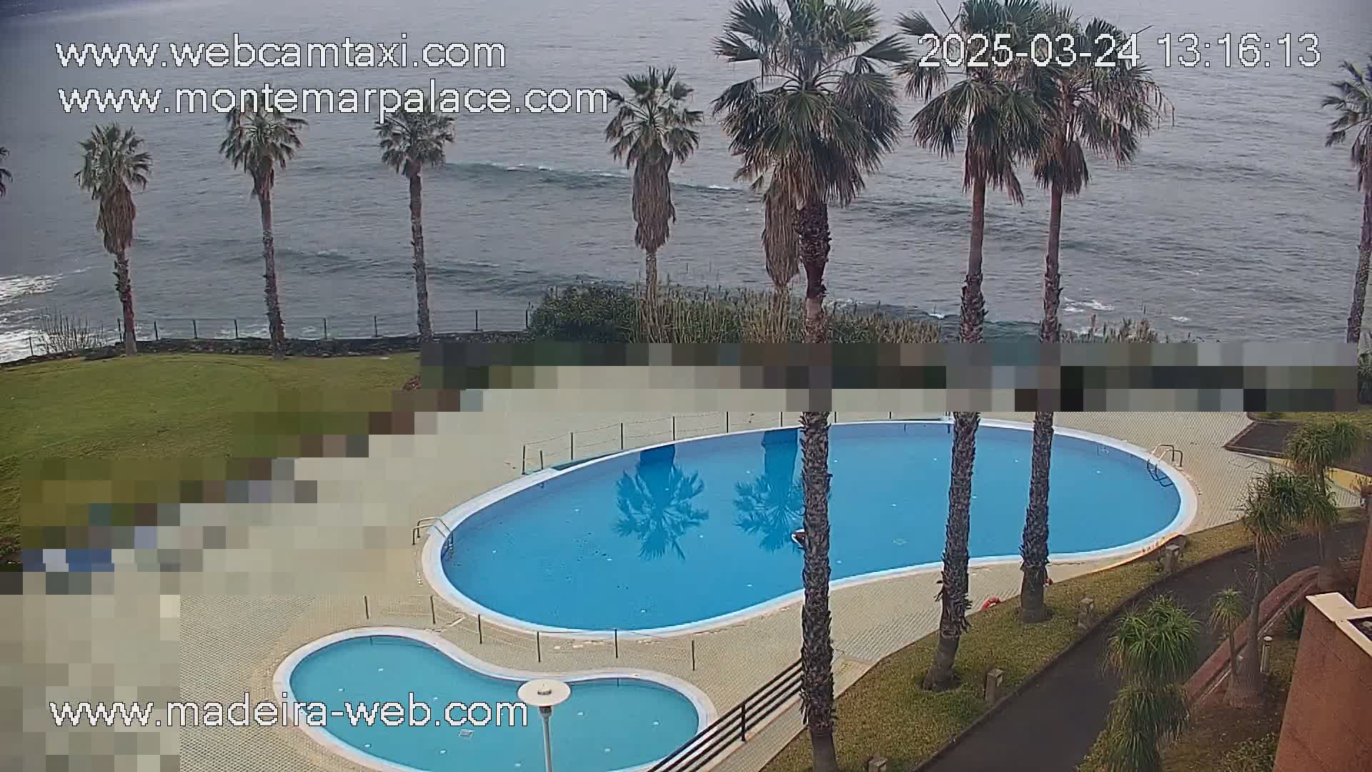 An outdoor kidney-shaped swimming pool and a smaller adjacent pool are situated on a grassy area overlooking a dark, wavy ocean under an overcast sky, with several palm trees surrounding the pools.
